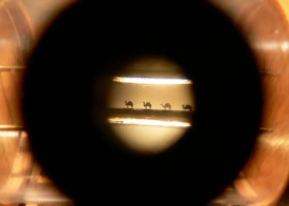 vista microscópica de pequeñas siluetas de camello a través de una lente