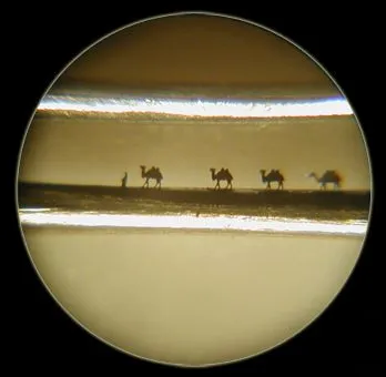 vista microscópica de una caravana con camellos y una figura bajo aumento