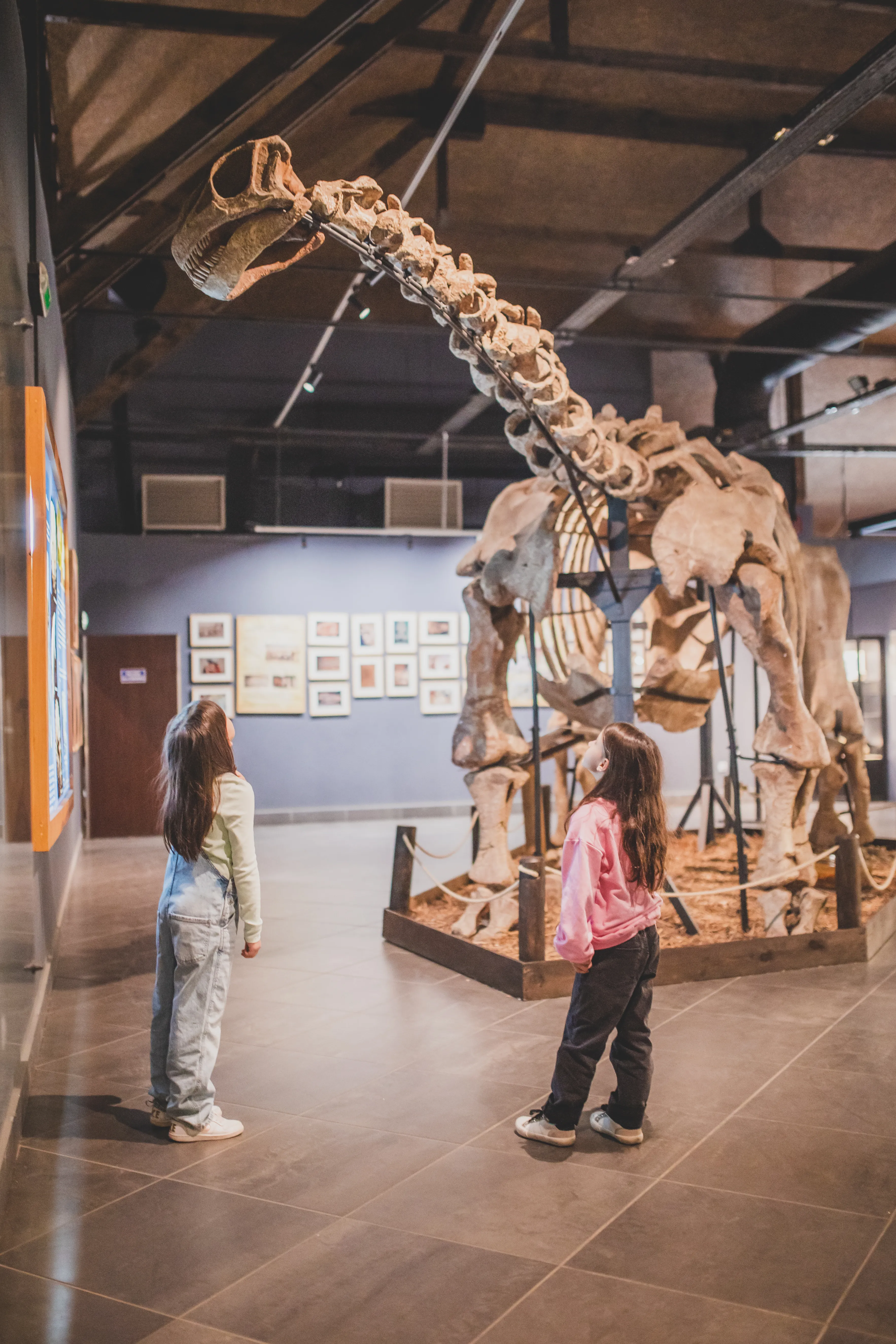 Dos niños de pie mirando un gran esqueleto de dinosaurio en una sala de museo