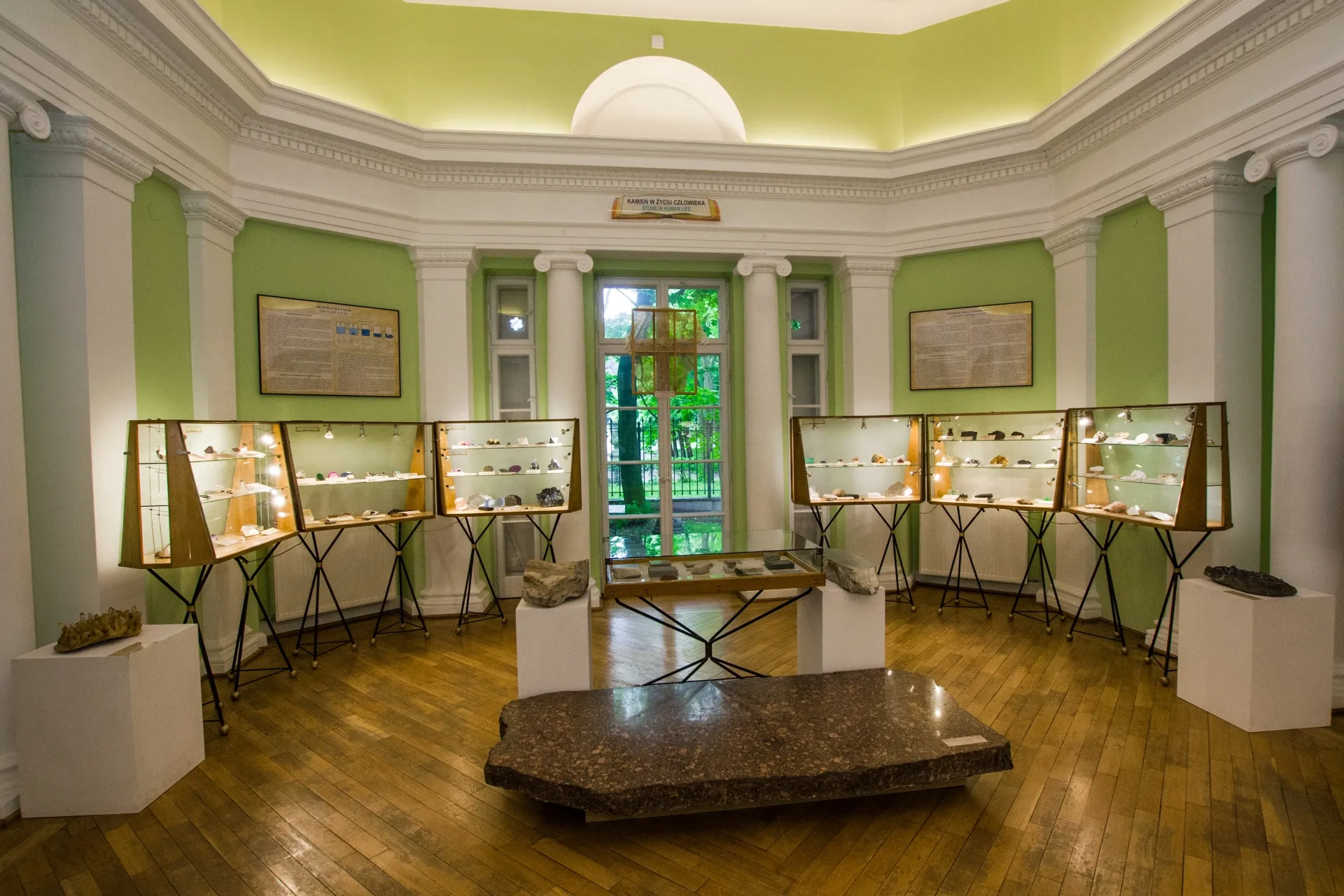 Galería circular del museo con paredes verdes, columnas blancas y vitrinas que contienen especímenes