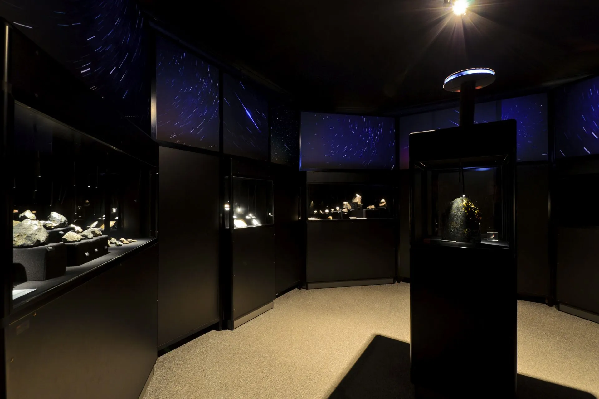 galería oscura con vitrinas y telón de fondo de pared estrellada azul