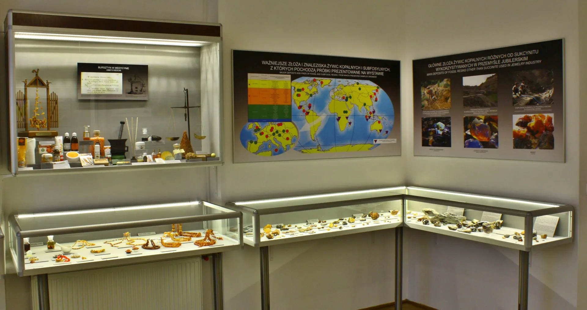 vitrinas con especímenes de minerales y un mapa del mundo en la pared