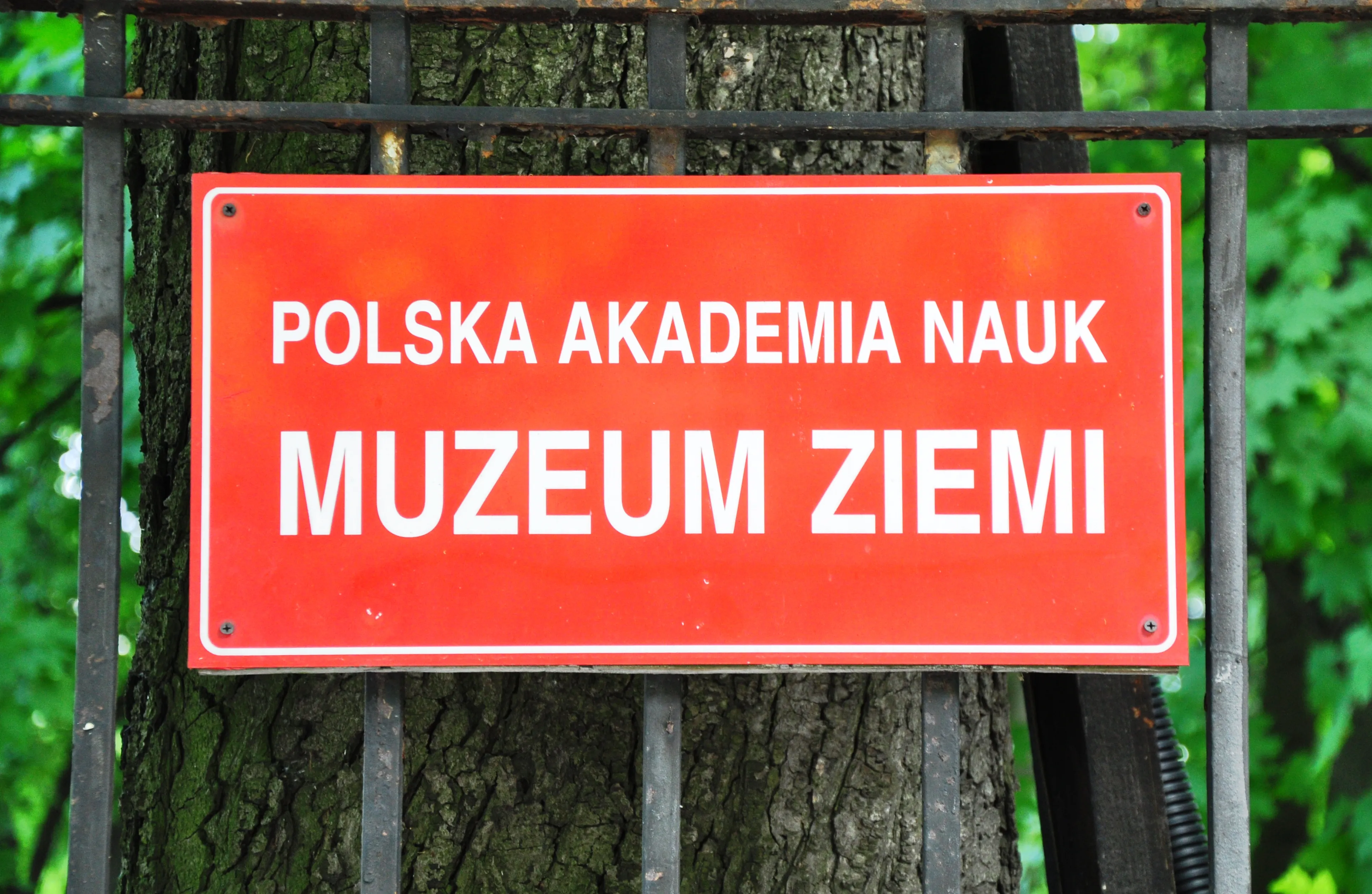 Letrero rojo con texto blanco 'POLSKA AKADEMIA NAUK MUZEUM ZIEMI' en una valla de metal negra con un tronco de árbol detrás