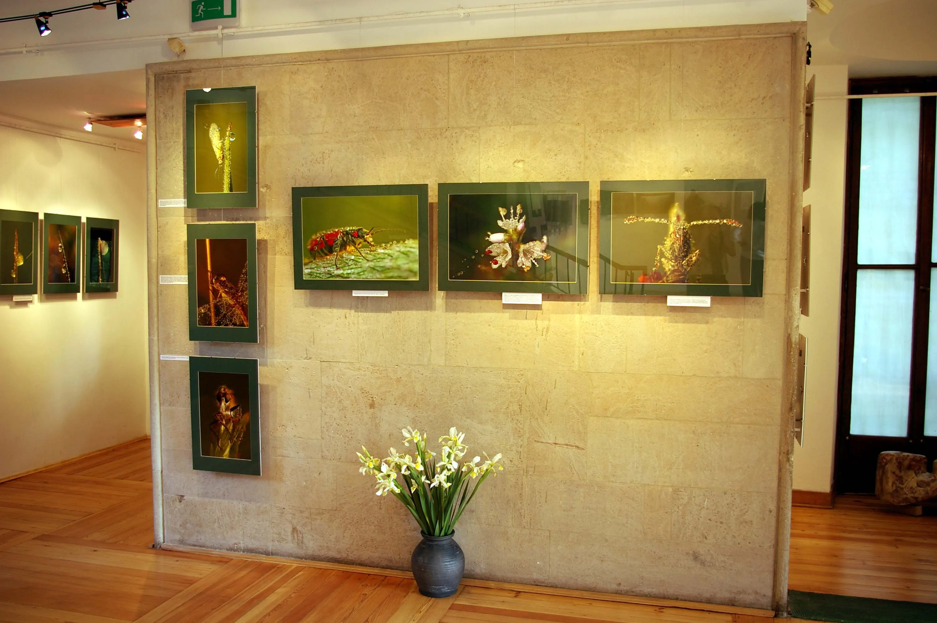 Obras de arte enmarcadas expuestas en una pared de una galería con un jarrón de flores blancas en el suelo