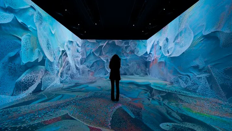 Silhouette of a person standing in a dark room with blue and white abstract projections on the walls and floor