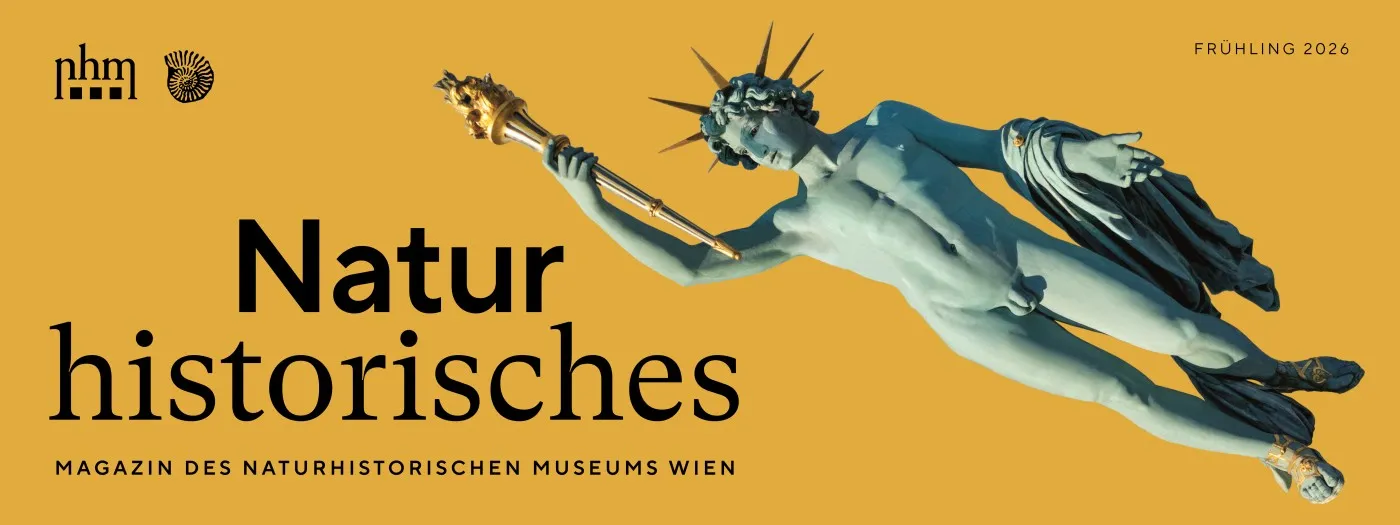 Classical statue of a figure with a crown of thorns holding a staff, set against a yellow background with text 'Naturhistorisches Magazin des Naturhistorischen Museums Wien'.