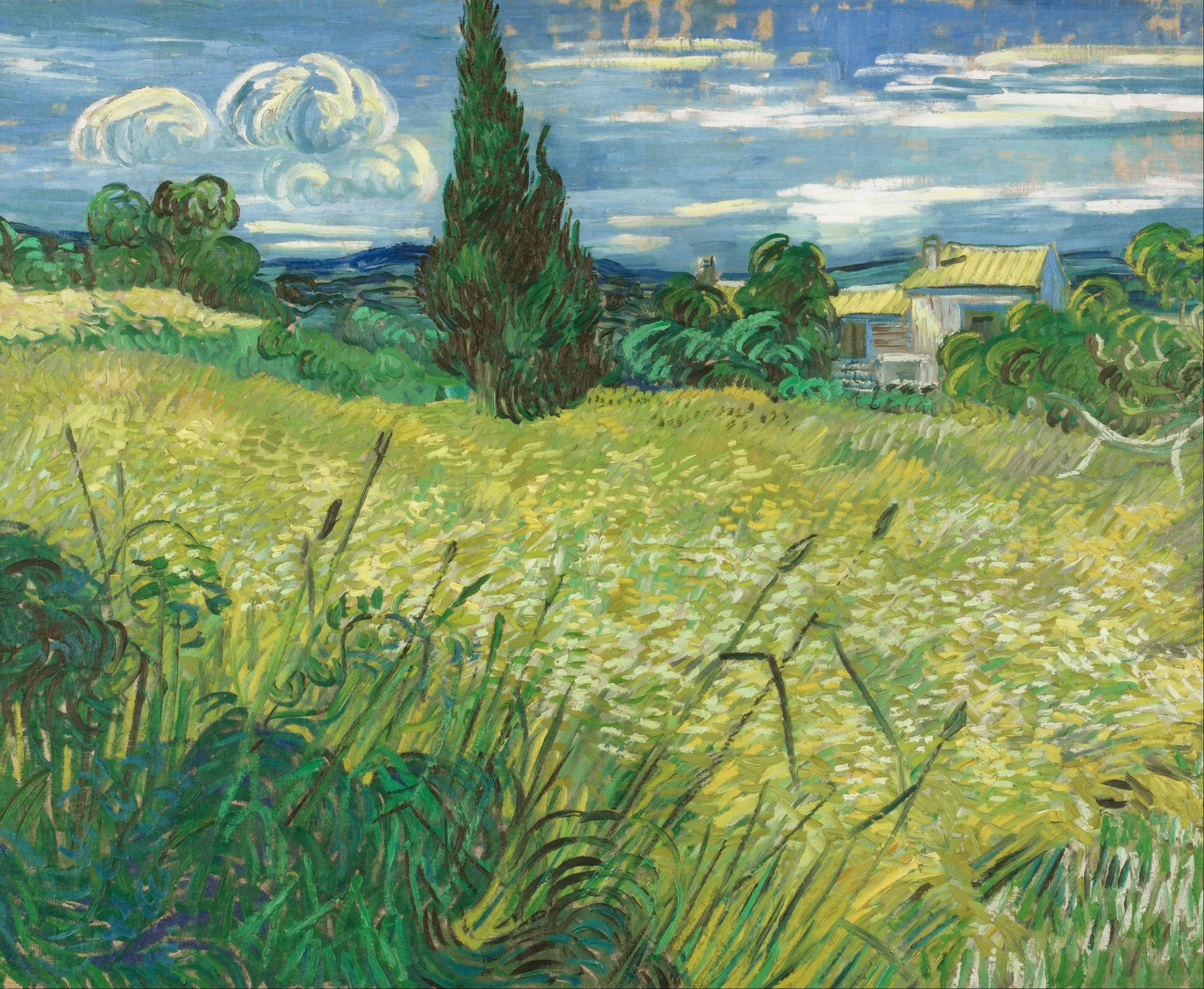 Vincent van Gogh's painting of a green field with yellow flowers, a tall cypress tree, and a house in the background under a blue sky with clouds