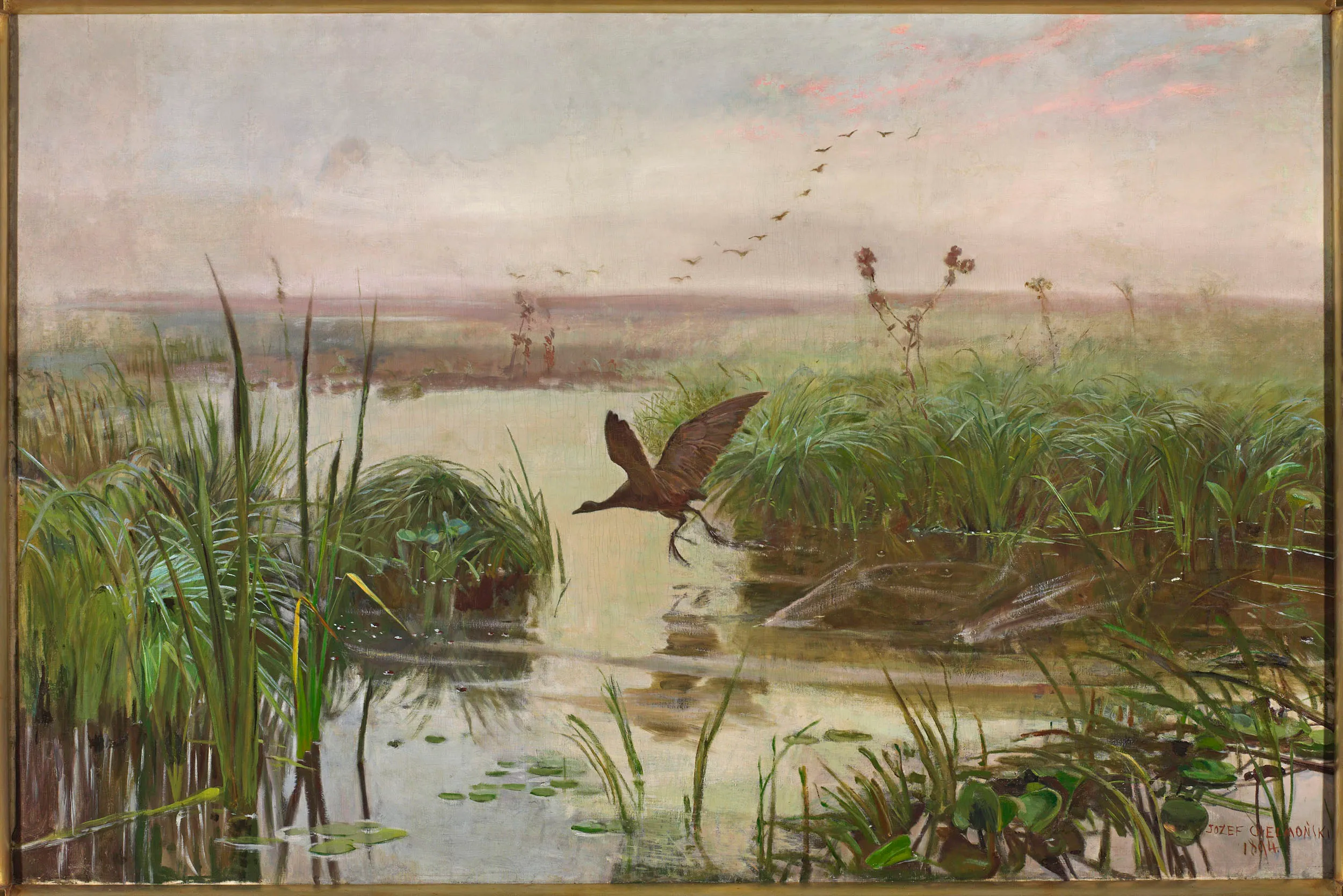 Una pintura de una gallineta de agua volando sobre un pantano con juncos y nenúfares