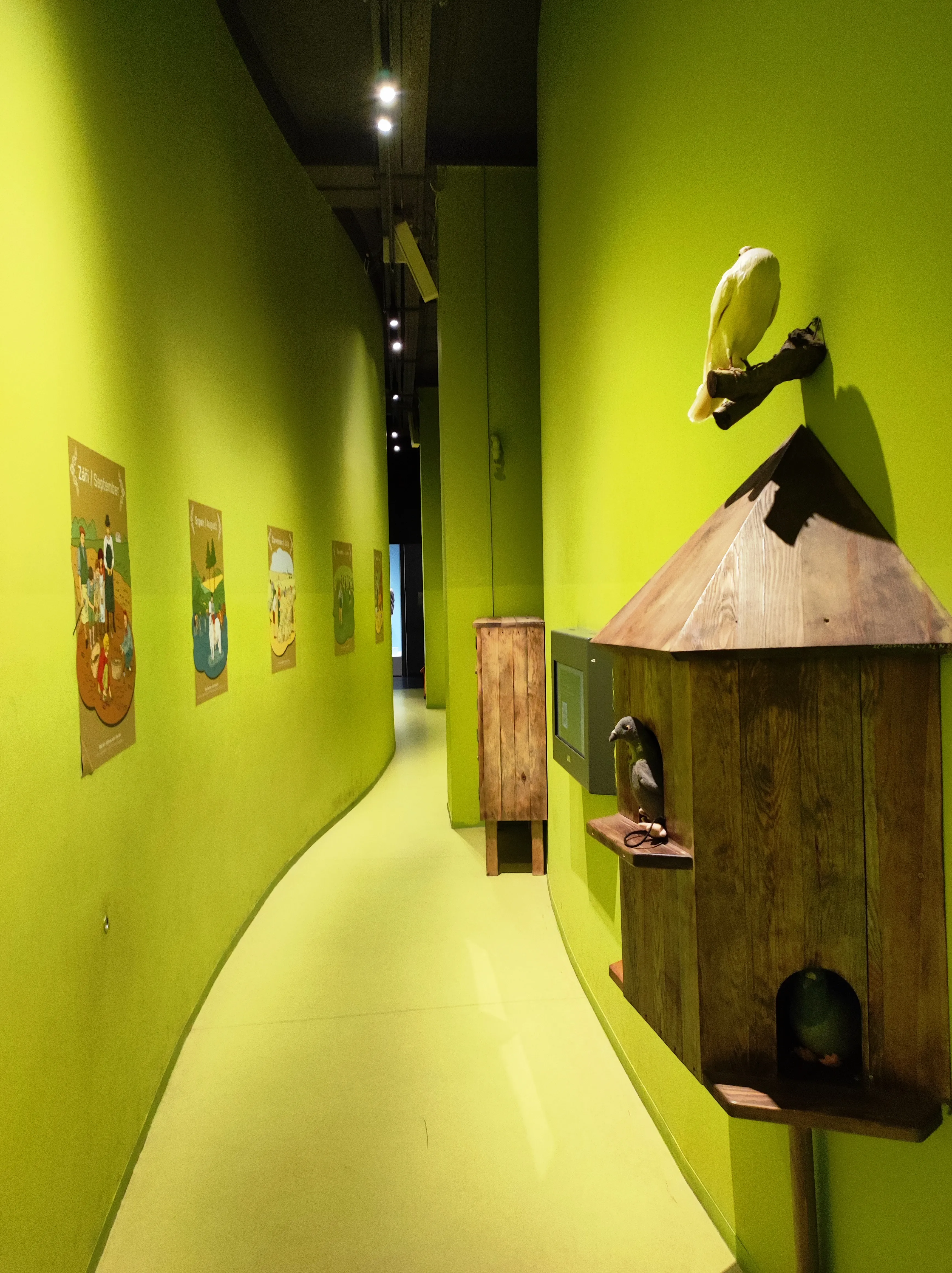 Hallway with lime green walls, framed illustrations, and a wooden birdhouse display with a white bird sculpture