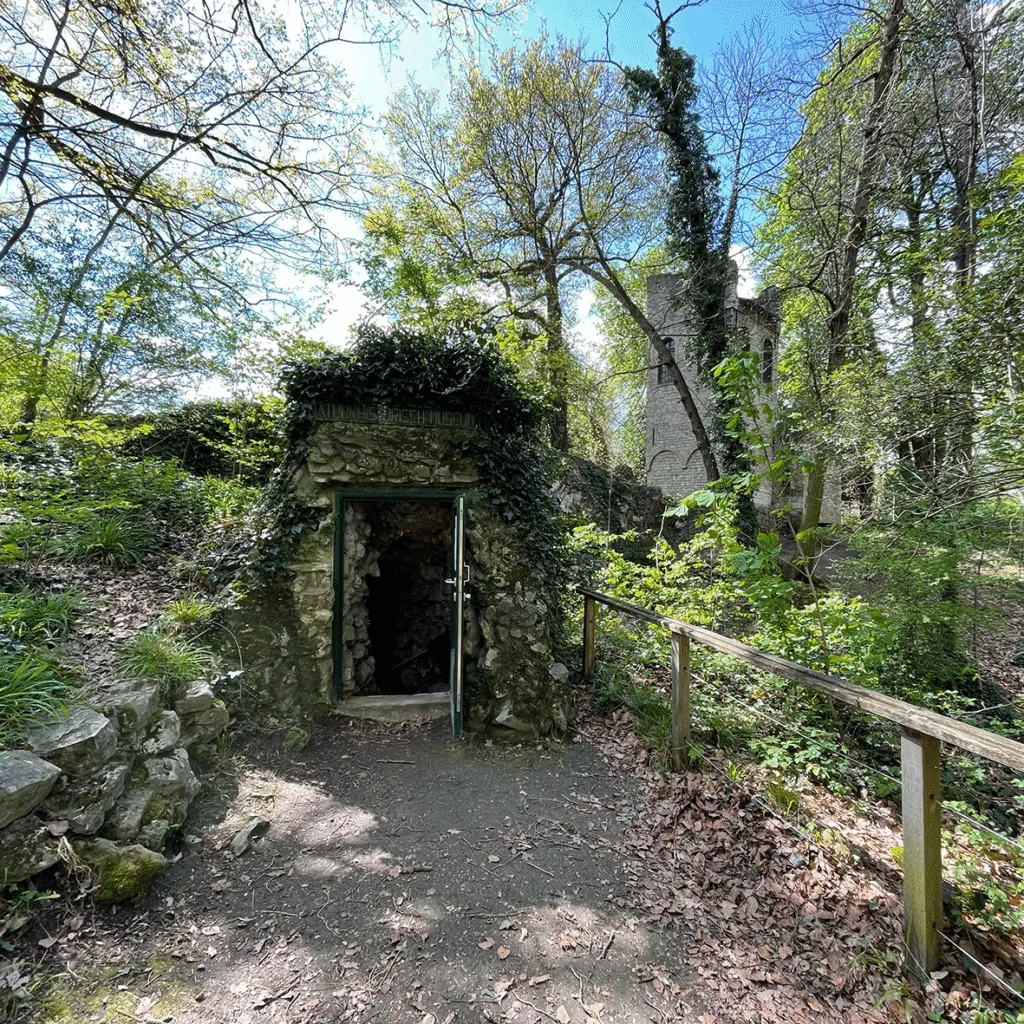 Puerta de piedra cubierta de hiedra incrustada en una colina arbolada, con un camino de barandilla de madera que conduce a ella