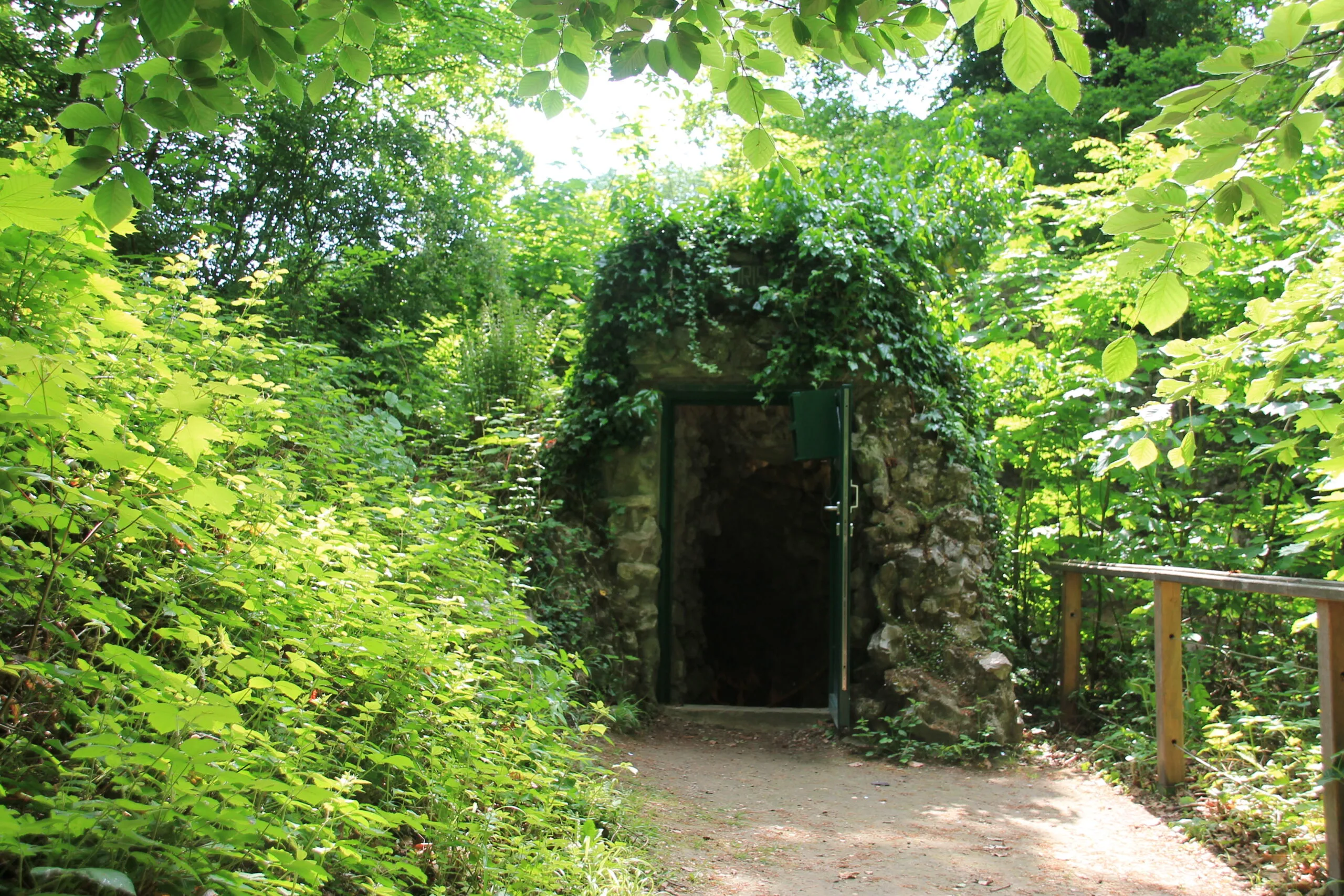 Entrada de piedra a una cueva artificial cubierta de hiedra, rodeada de frondosos árboles y vegetación, con un sendero de tierra que conduce a la oscura entrada