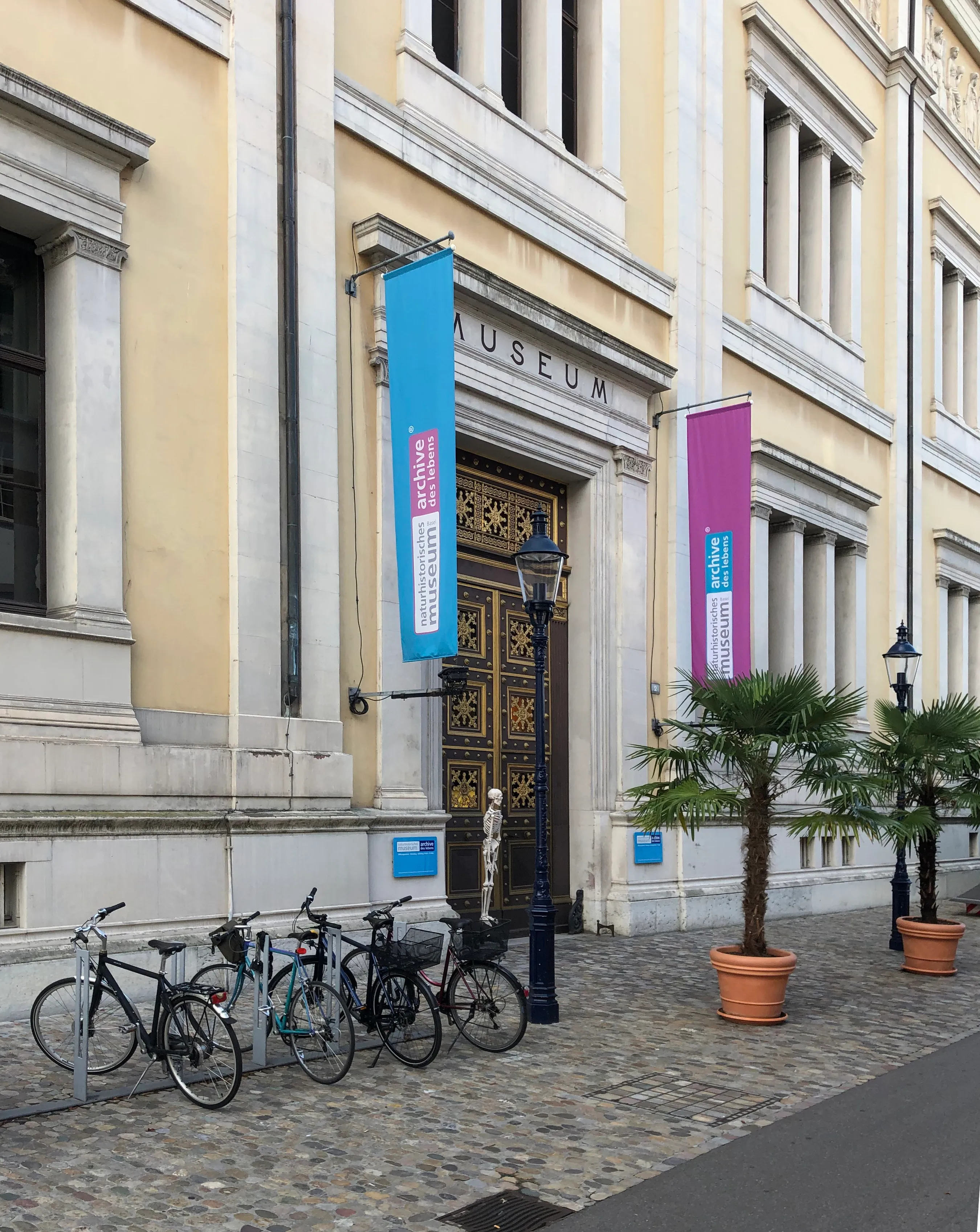Buitengevel van het Naturhistorisches Museum Basel met de ingang met het opschrift MUSEUM, blauwe en roze verticale banners, geparkeerde fietsen en potpalmen op een kasseien bestrating.