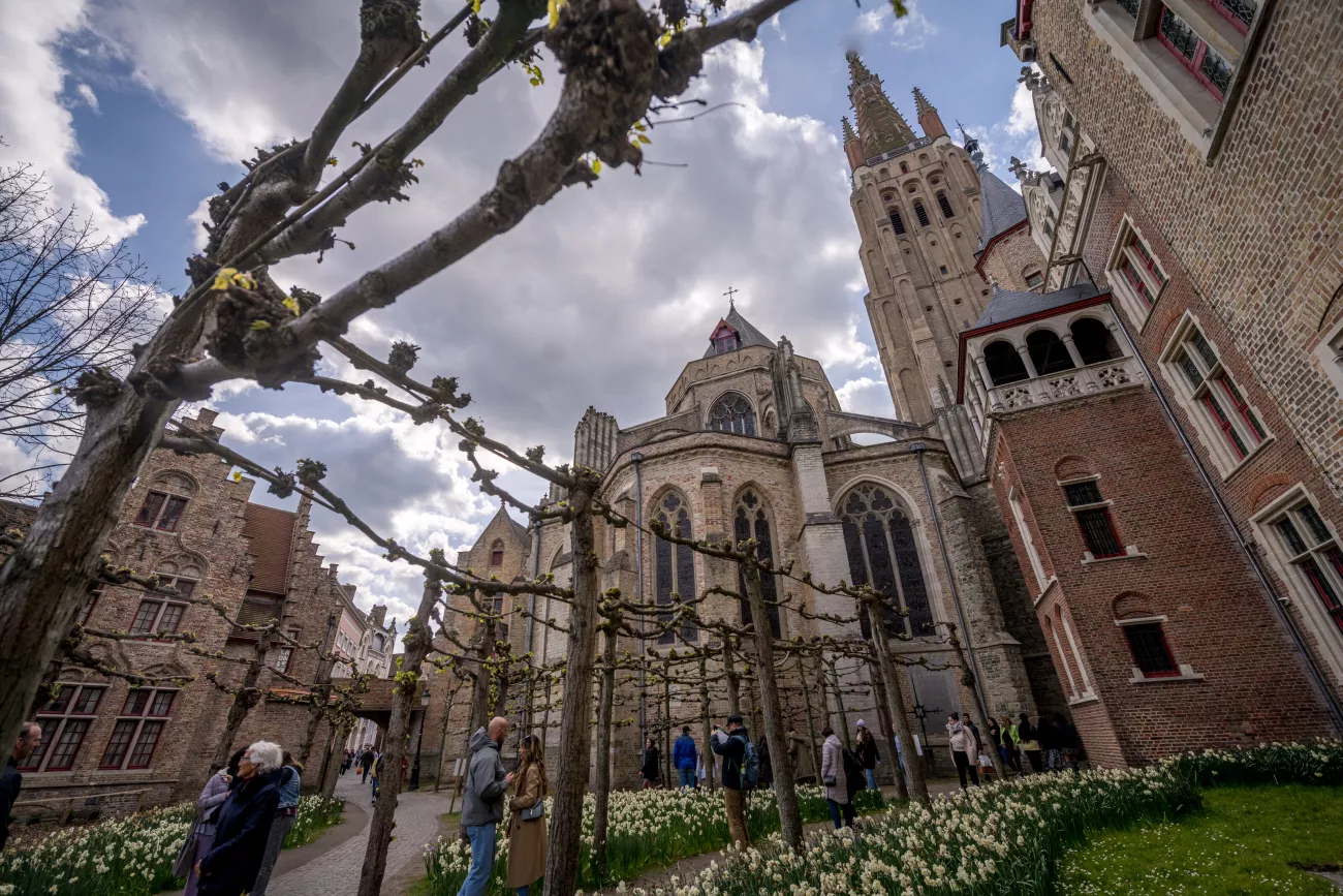 Vista exterior de la Iglesia de Nuestra Señora en Brujas mostrando su alta torre de ladrillo y arquitectura gótica, con árboles desnudos y flores blancas de primavera en primer plano y visitantes caminando por el sendero.