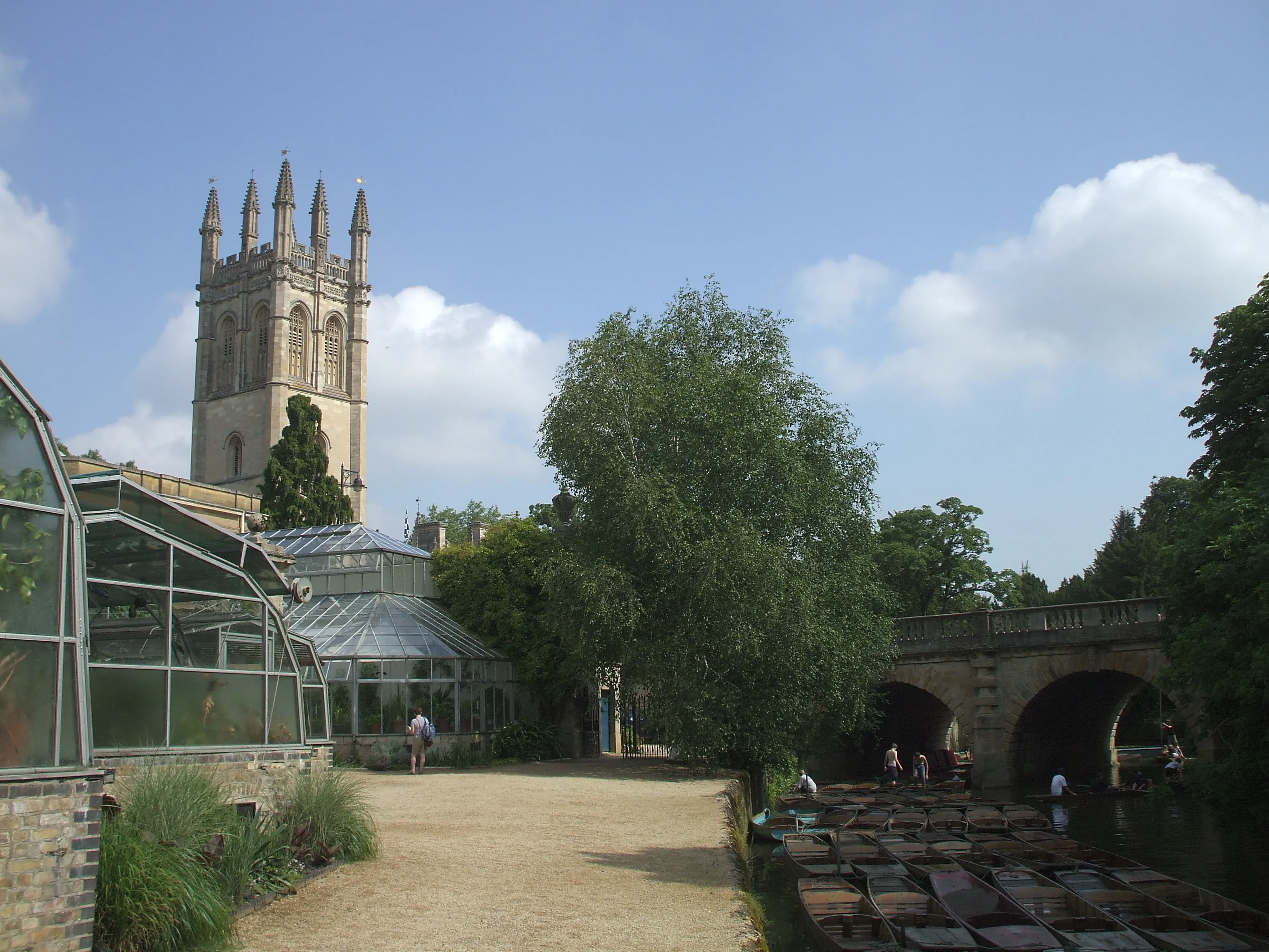 Szklarnie i żwirowa ścieżka w Oxford Botanic Garden z wieżą Magdalen College i kamiennym mostem łukowym nad rzeką w tle