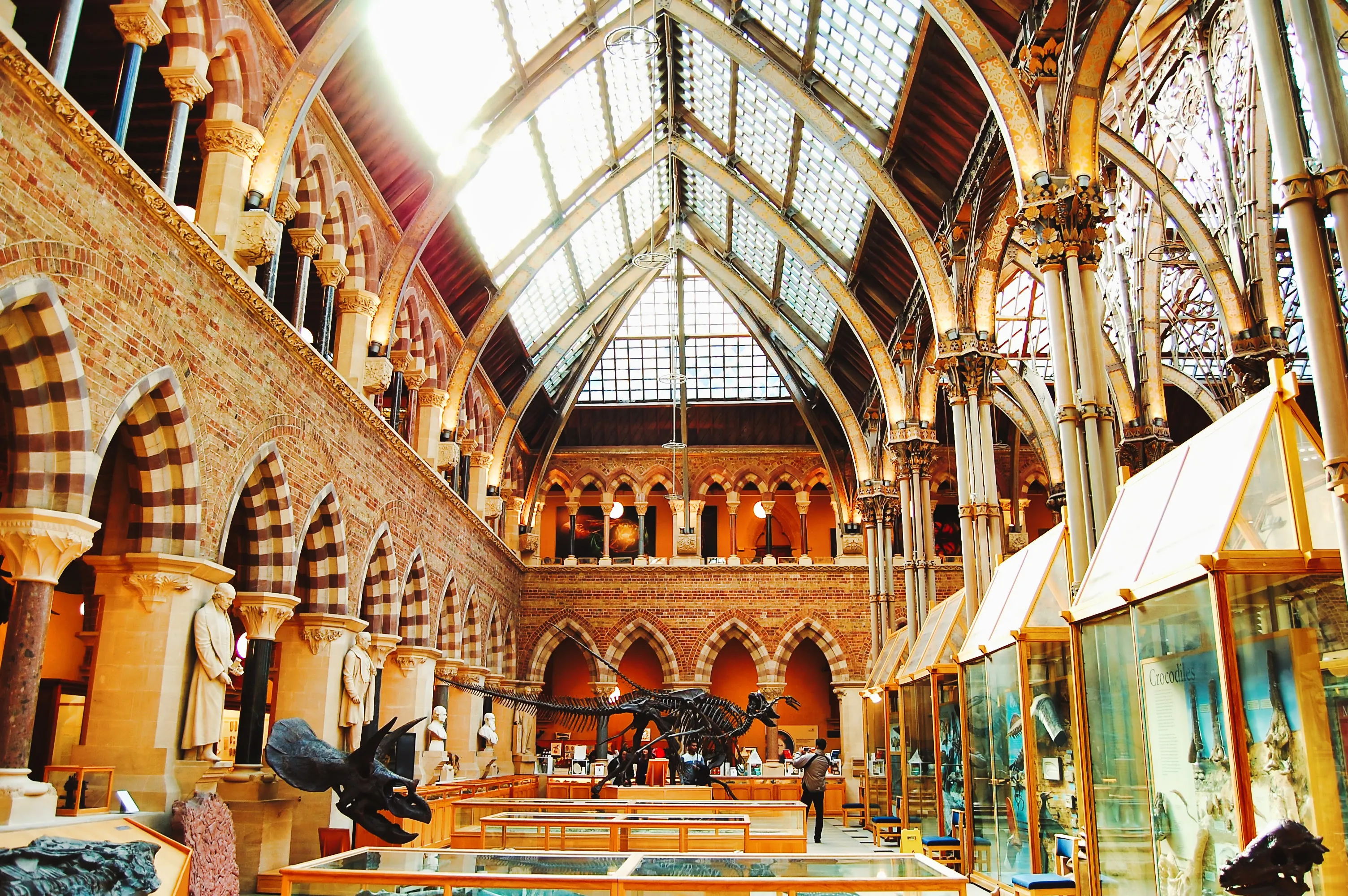 Vista interior de la sala principal del Oxford University Museum of Natural History, que muestra techos abovedados de estilo neogótico con tragaluces de cristal, columnas de piedra ornamentadas, vitrinas con especímenes y un esqueleto de dinosaurio en el centro.