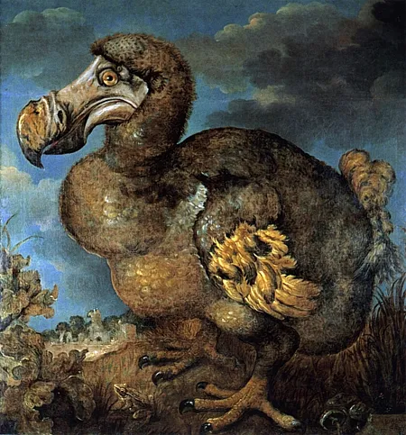 Pintura histórica de un dodo de pie en un paisaje natural con un cielo nublado de fondo, que muestra su gran pico ganchudo y su plumaje marrón.