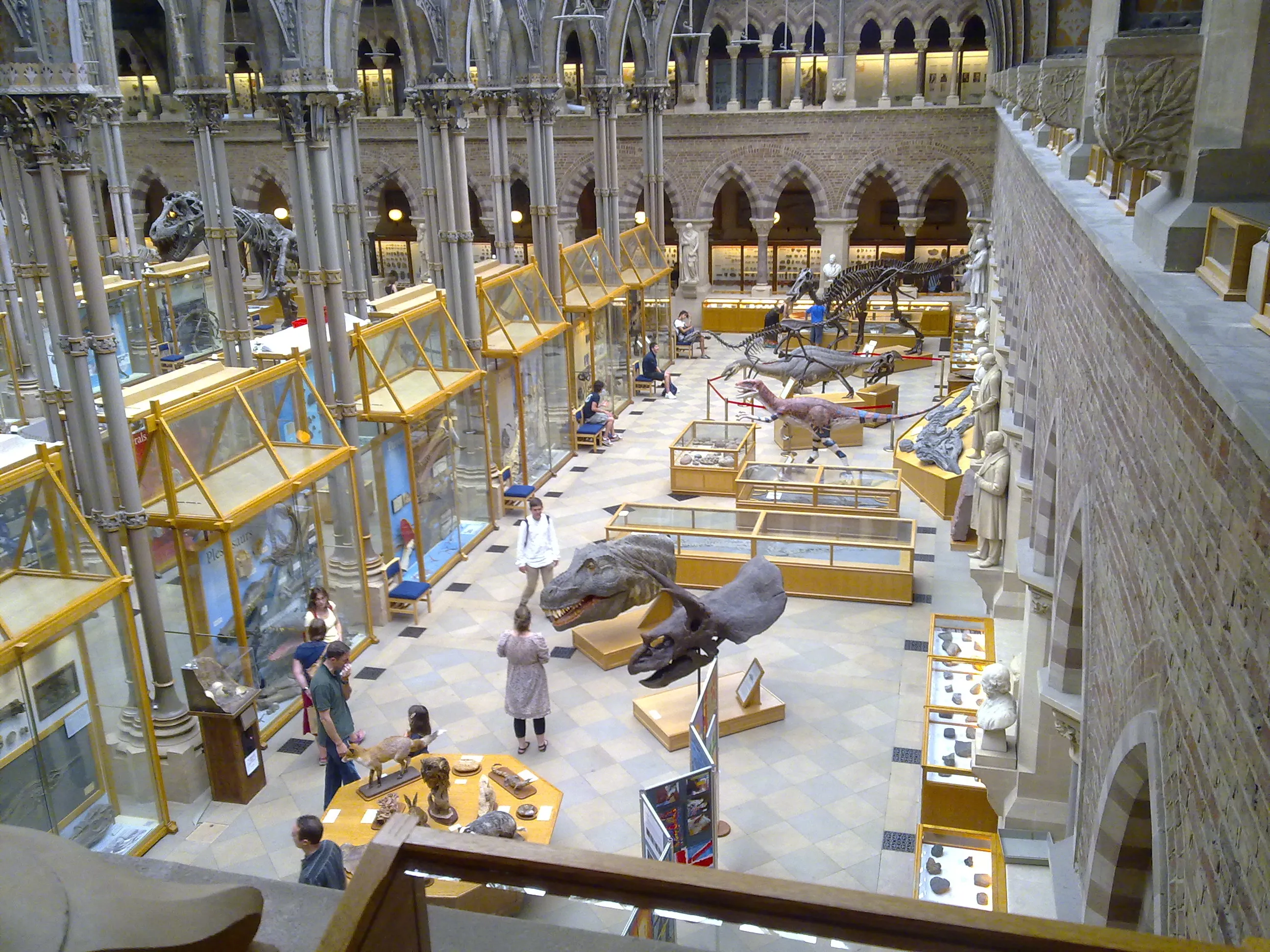 Vista desde un ángulo elevado de la sala principal neogótica del Oxford University Museum of Natural History, que presenta altas columnas de piedra, ventanas en arco, vitrinas con marcos amarillos y esqueletos de dinosaurios, incluyendo un gran esqueleto de T-Rex en el suelo con visitantes caminando alrededor.