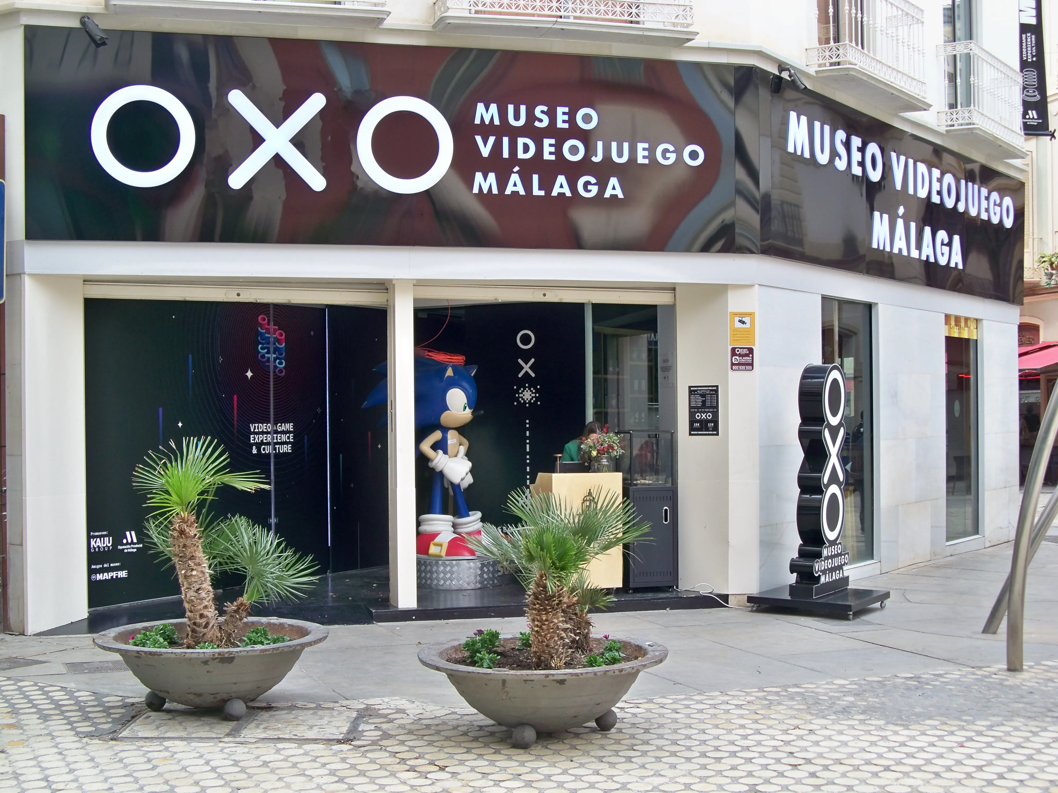 Vista a pie de calle de la fachada del OXO Museo Videojuego Málaga, con grandes carteles negros de letras blancas, escaparates con una figura de Sonic the Hedgehog y dos palmeras en macetas en primer plano.
