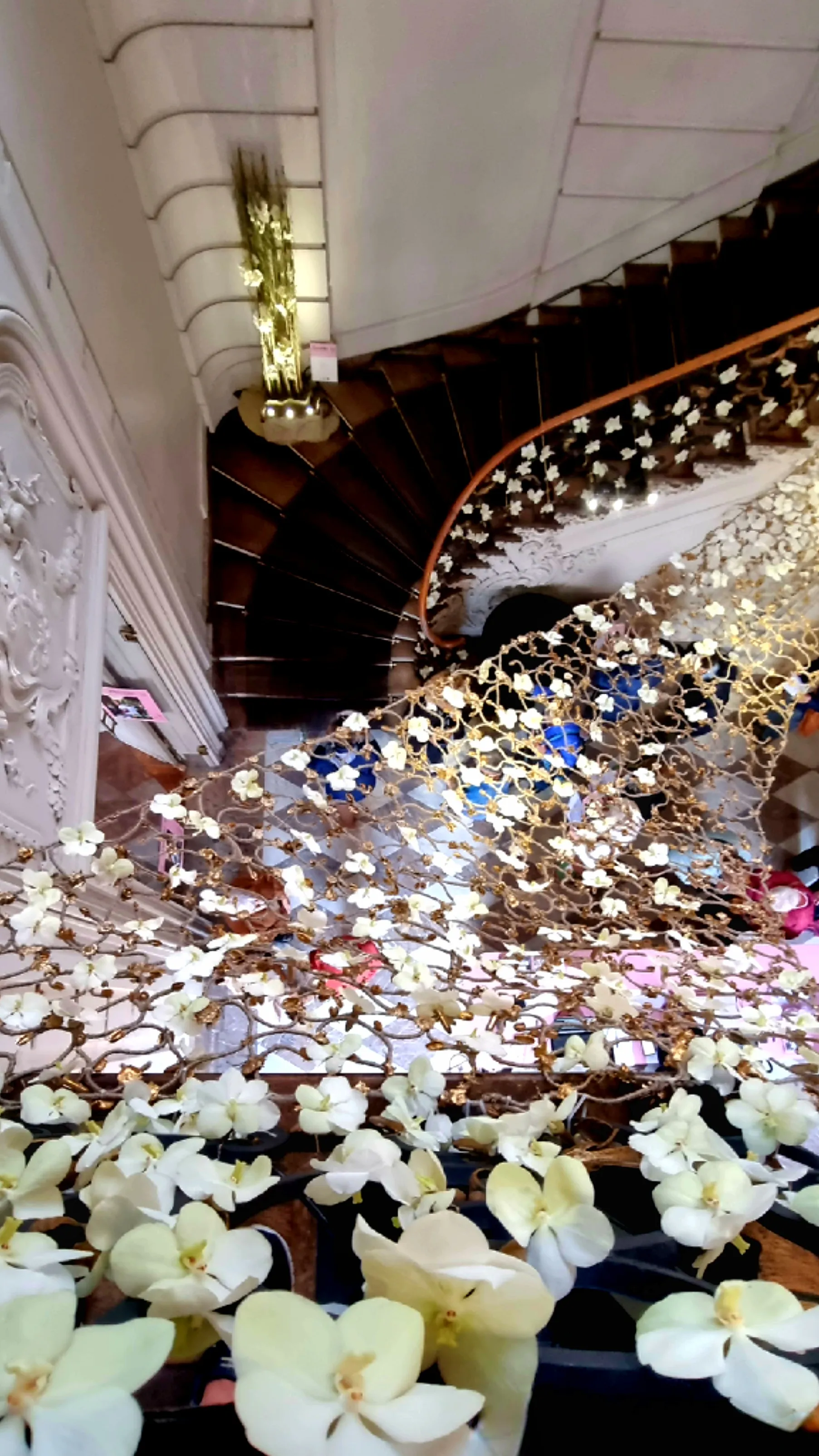 Grote wenteltrap in Paleis op de Meir, versierd met witte orchideeën en gouden takken tijdens de Floralia-tentoonstelling