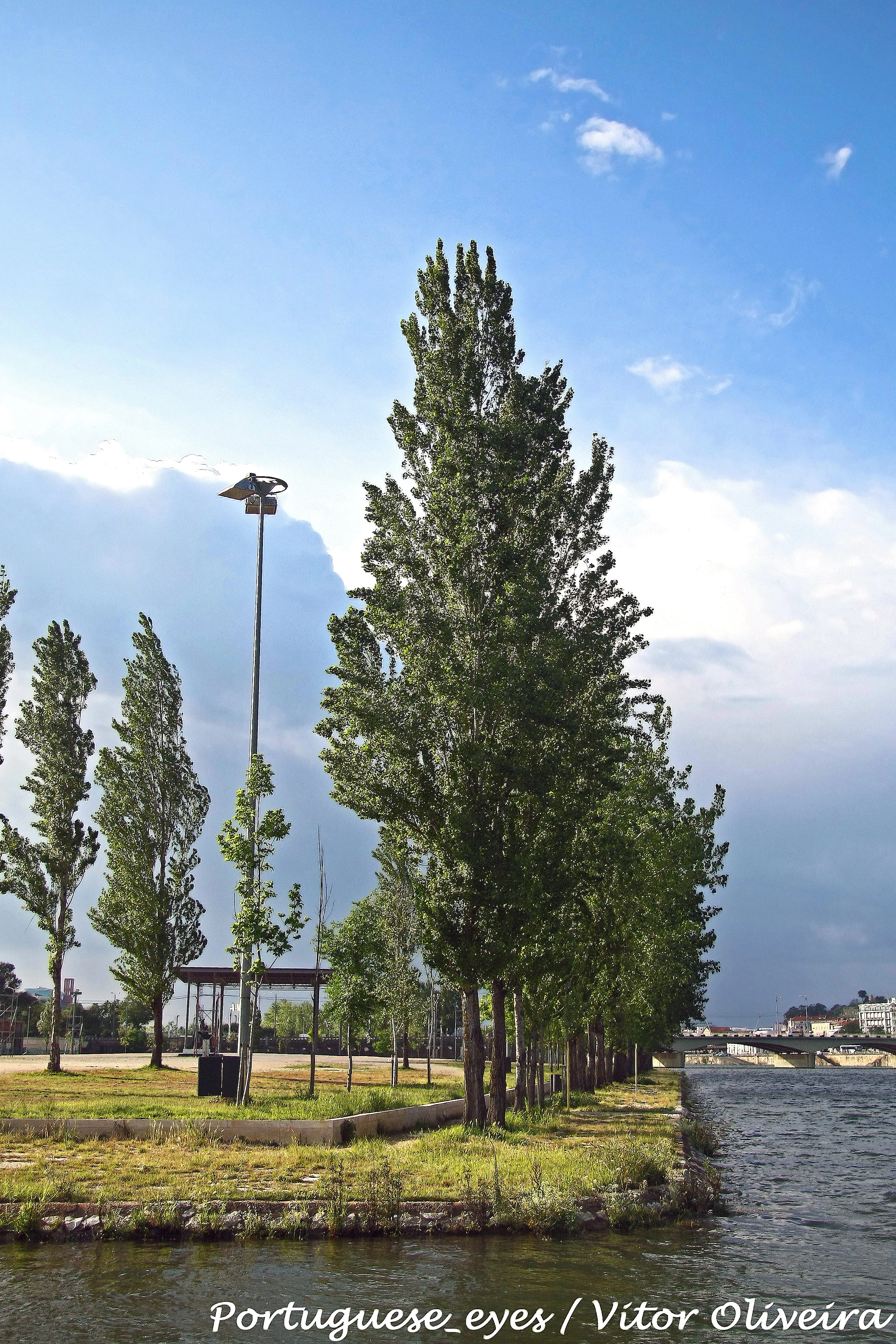 Reprezentatywny widok Pavilhão Centro de Portugal w Coimbrze.