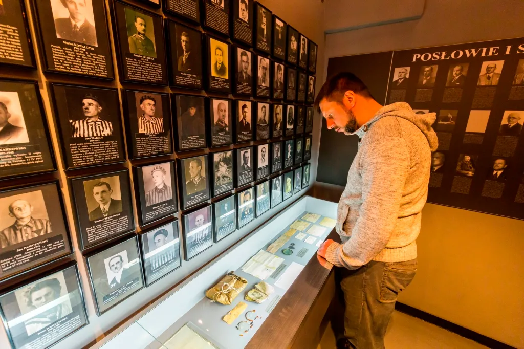 A man looking at a display case with artifacts, surrounded by a wall of framed photographs