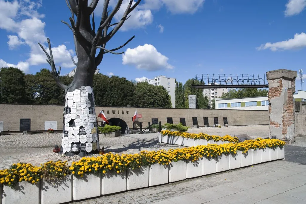 A monument of a black tree with a white textured trunk surrounded by yellow flowers, with prison walls and a gate in the background under a blue sky
