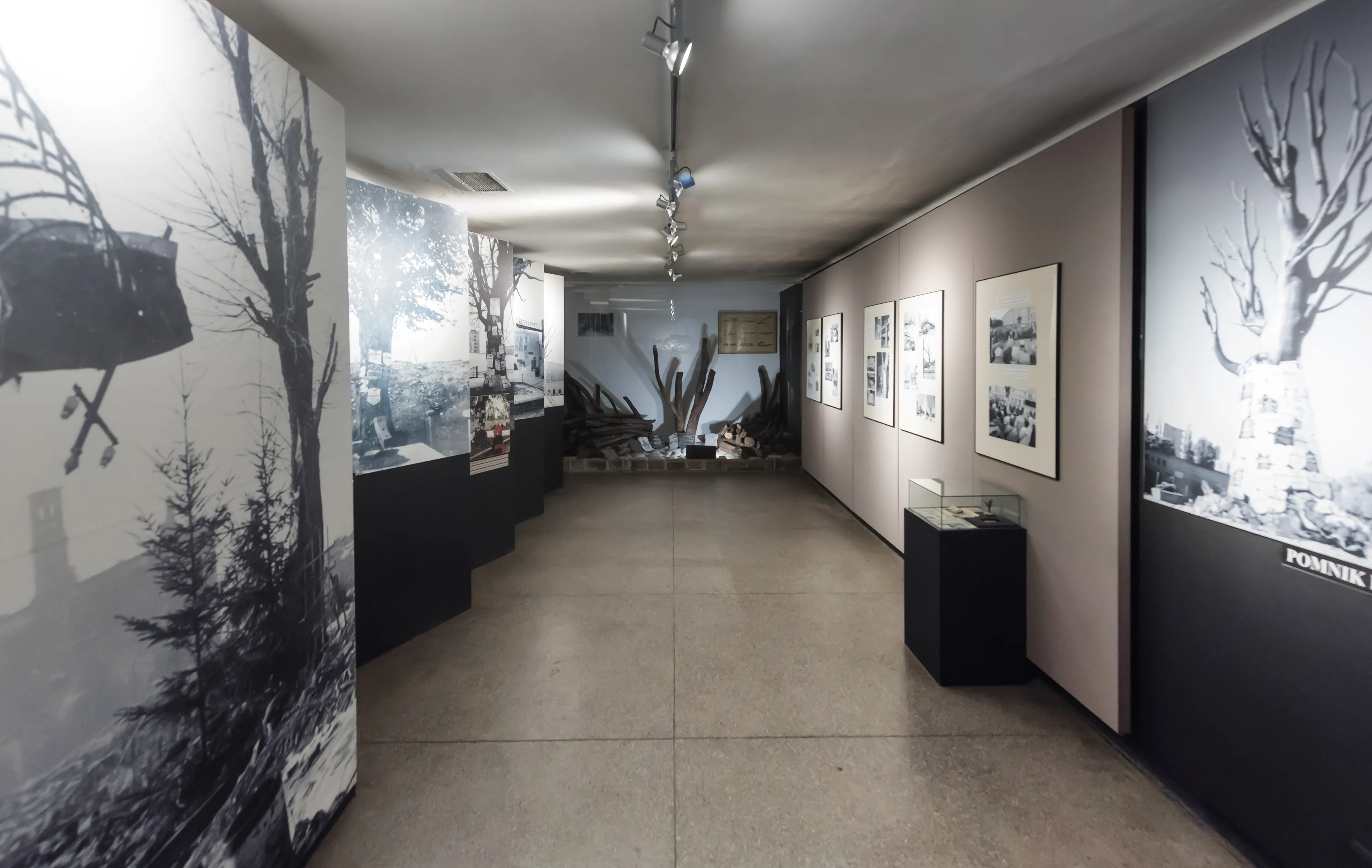 Pasillo interior de un museo con fotografías históricas en blanco y negro en las paredes y vitrinas