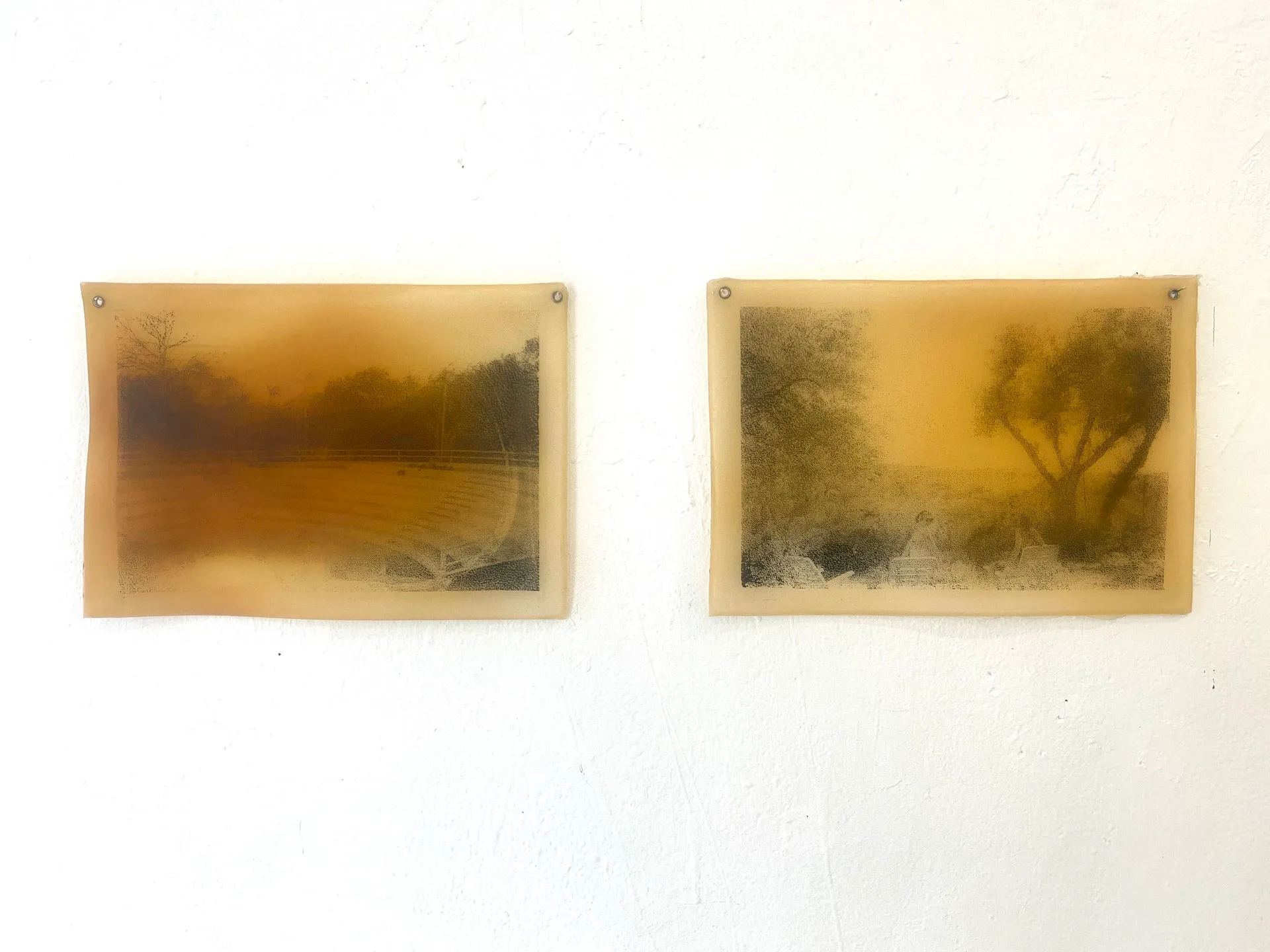 Dos obras de arte paisajísticas rectangulares en tonos sepia montadas una al lado de la otra sobre una pared blanca de galería, que representan árboles difuminados y escenas acuáticas.