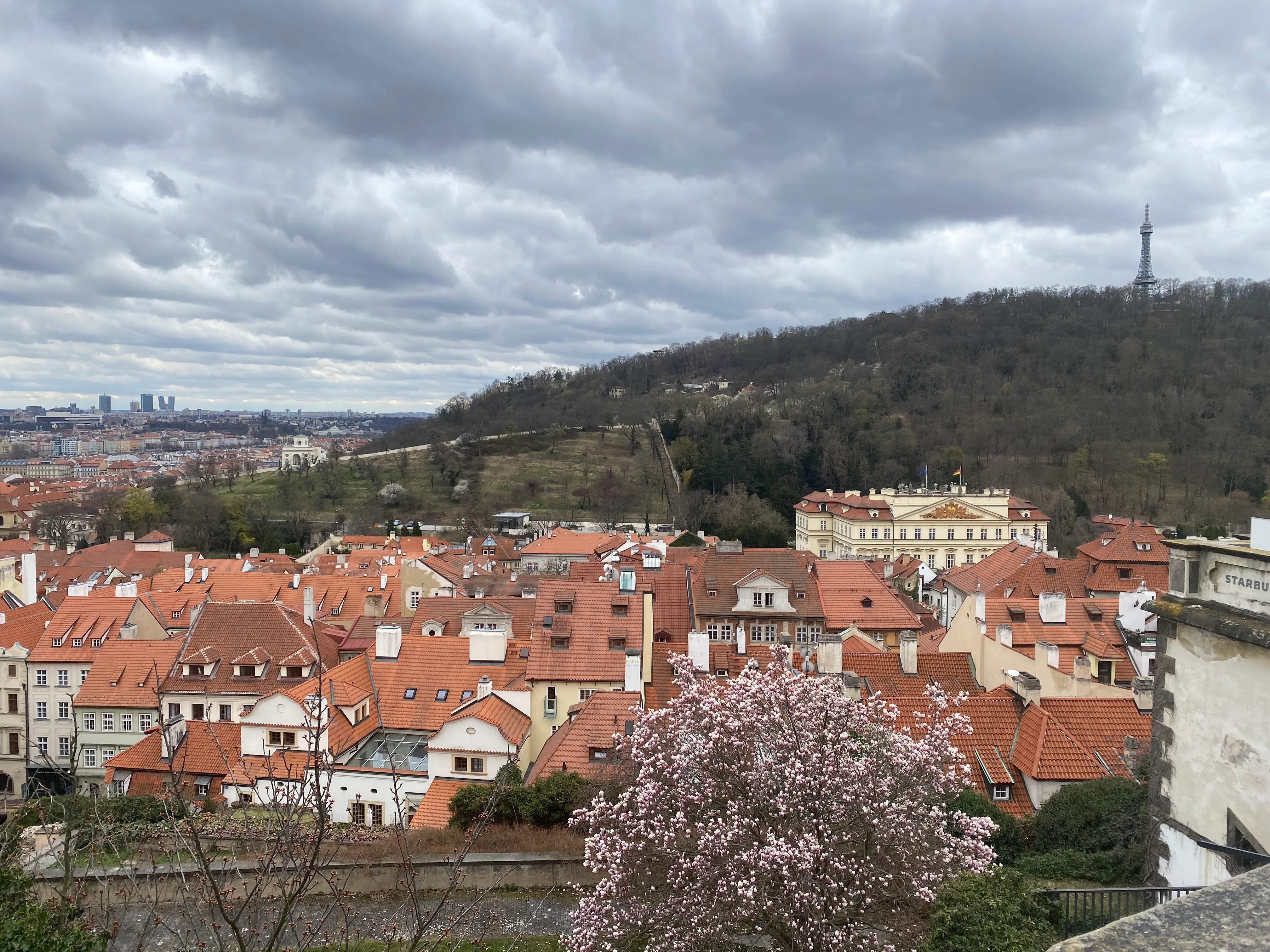 Uitzicht vanaf de Petřín-uitkijktoren met rode daken en een verre stadsskyline onder een bewolkte hemel