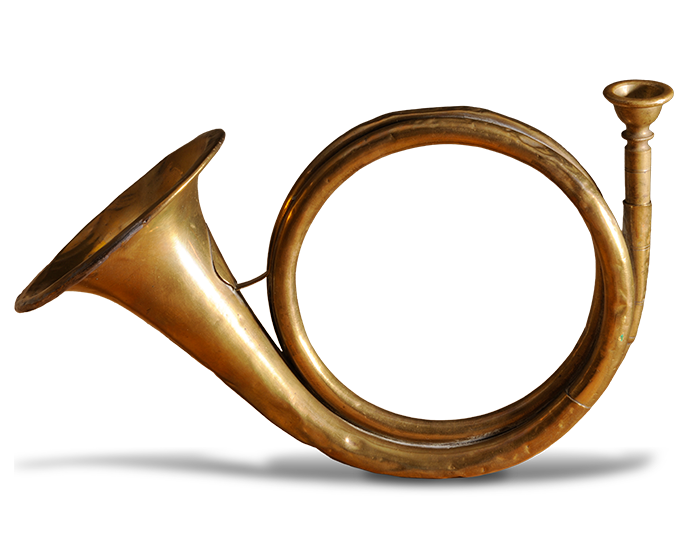 Golden coiled horn on black background