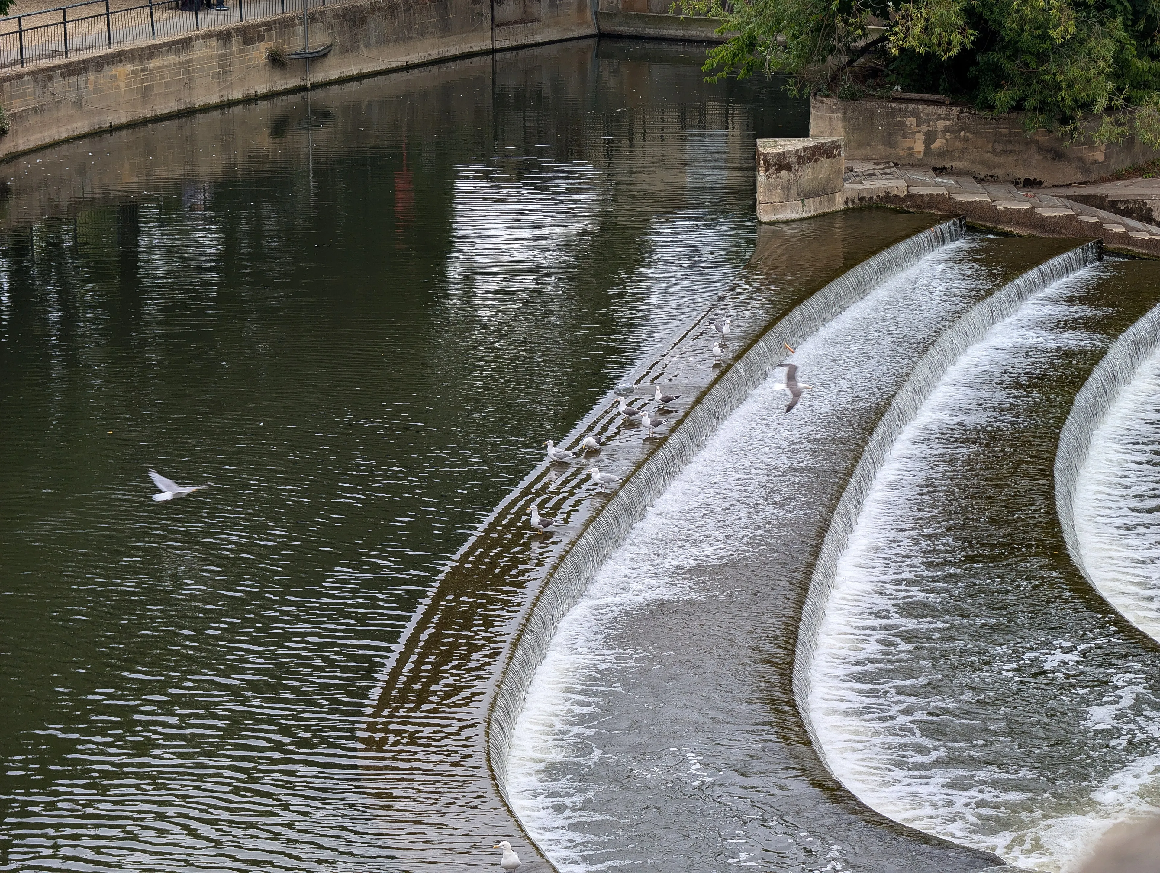 Vista representativa del Pulteney Bridge en Bath.