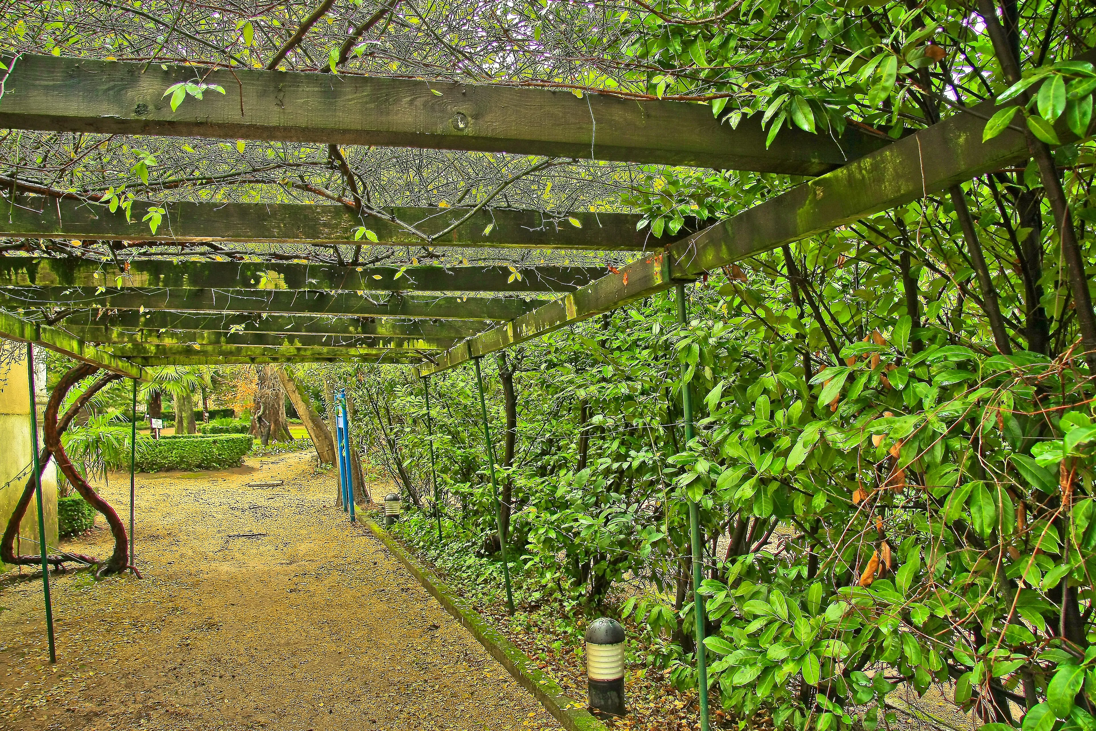Exterior view of Gardens of Quinta das Lágrimas in Coimbra.