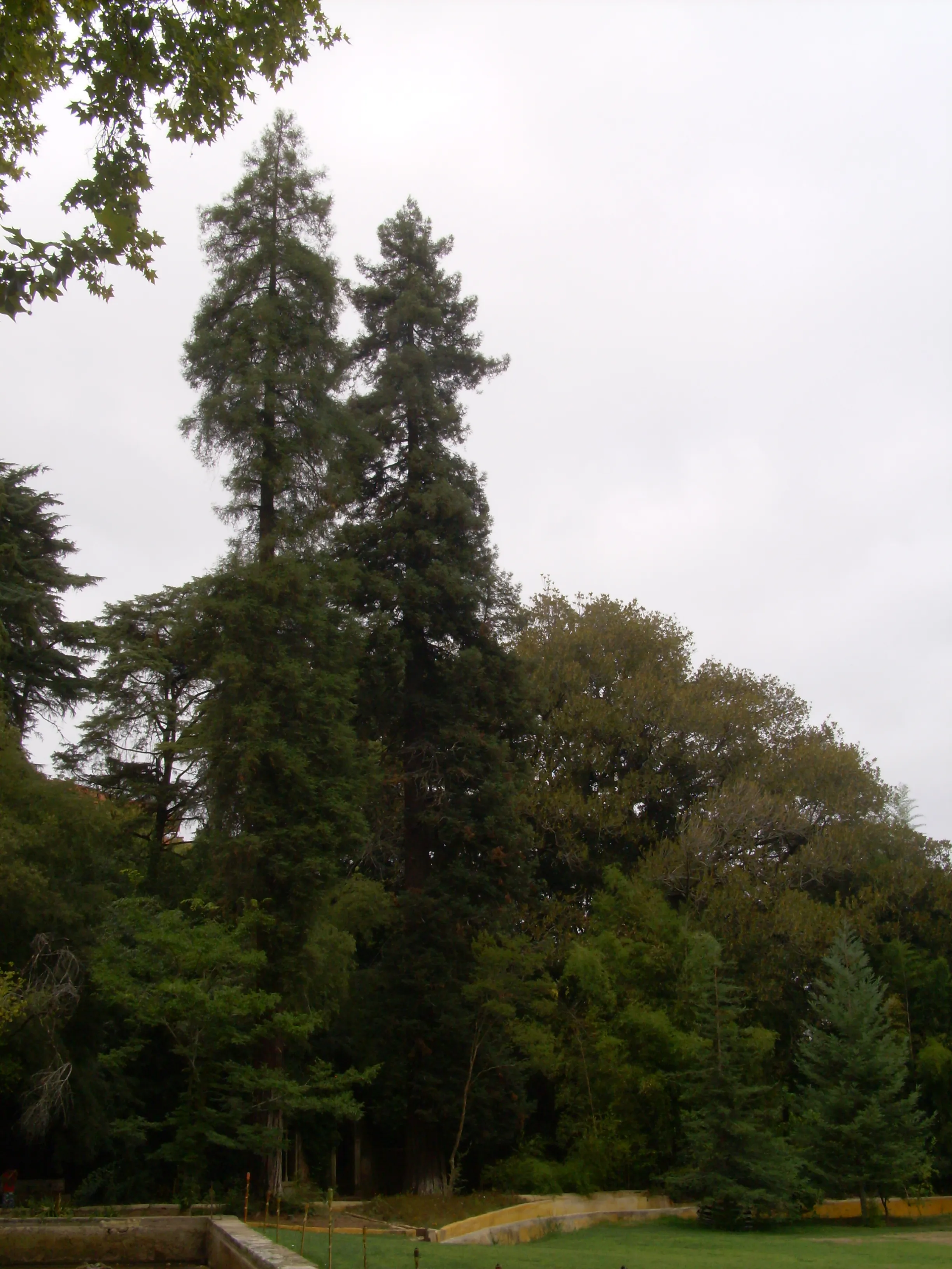Representative view of Gardens of Quinta das Lágrimas in Coimbra.