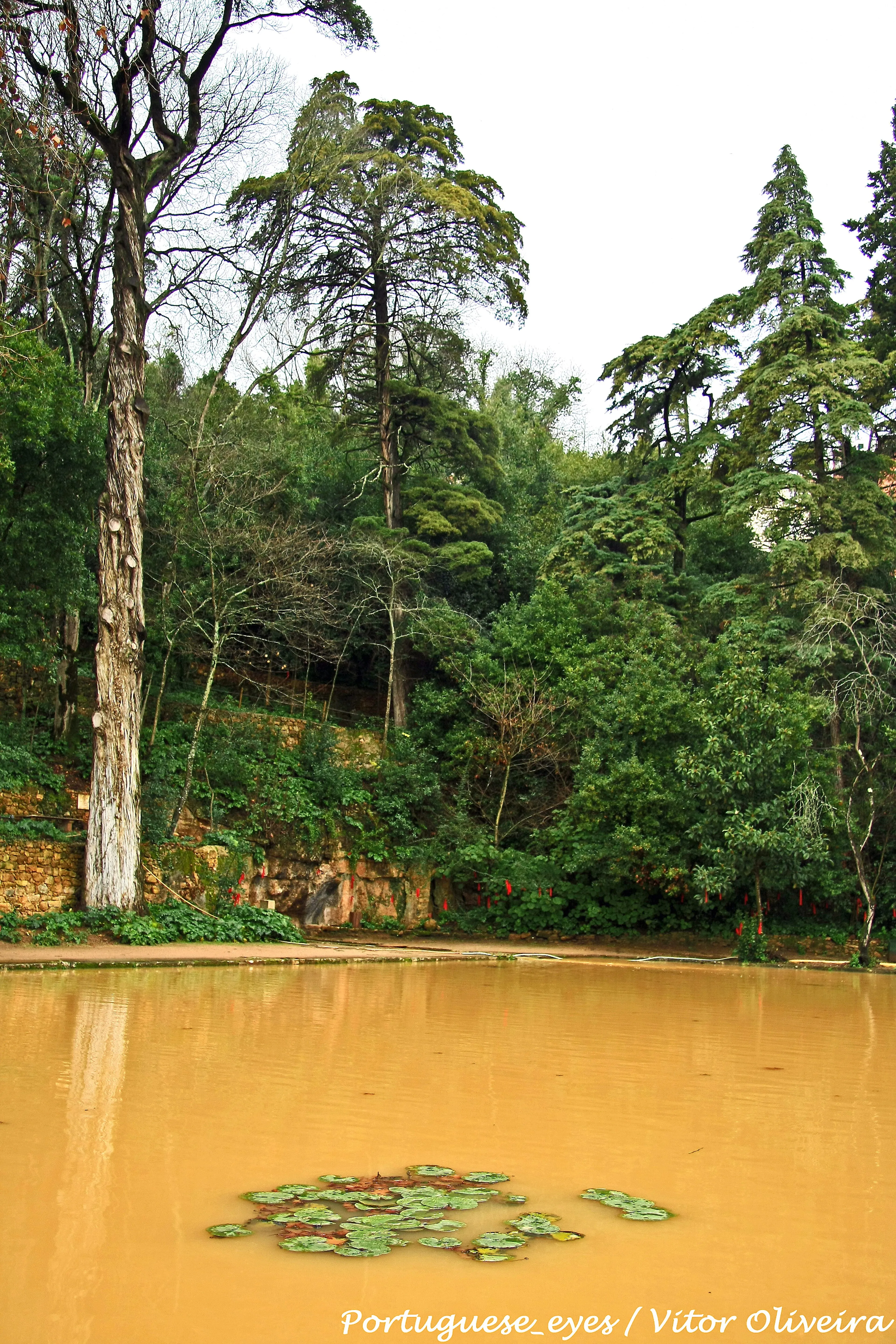 Representative view of Gardens of Quinta das Lágrimas in Coimbra.