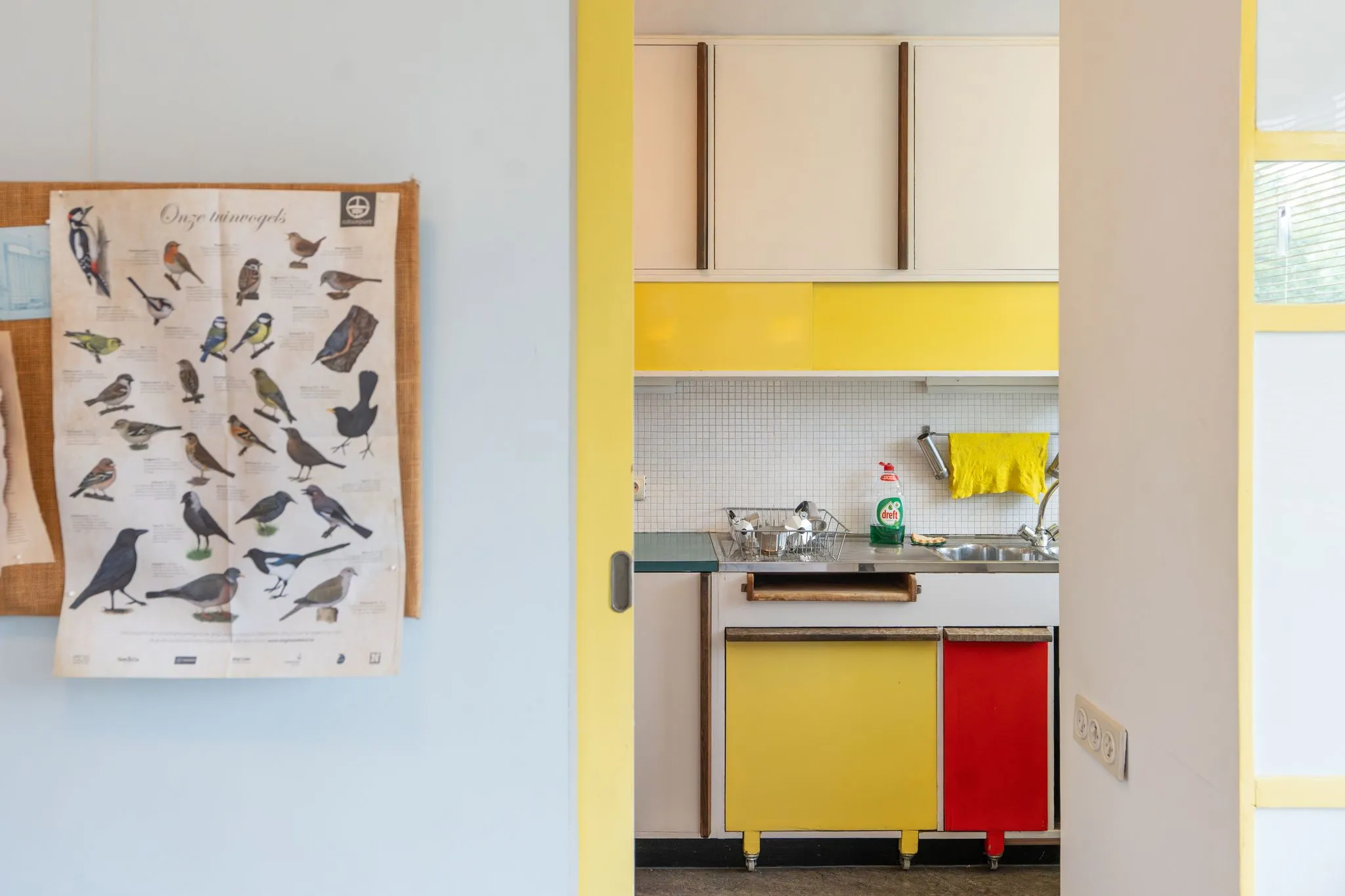 Vista a través de un marco de puerta amarillo hacia una cocina con armarios amarillos y rojos, junto a una lámina antigua de identificación de aves colgada en la pared.