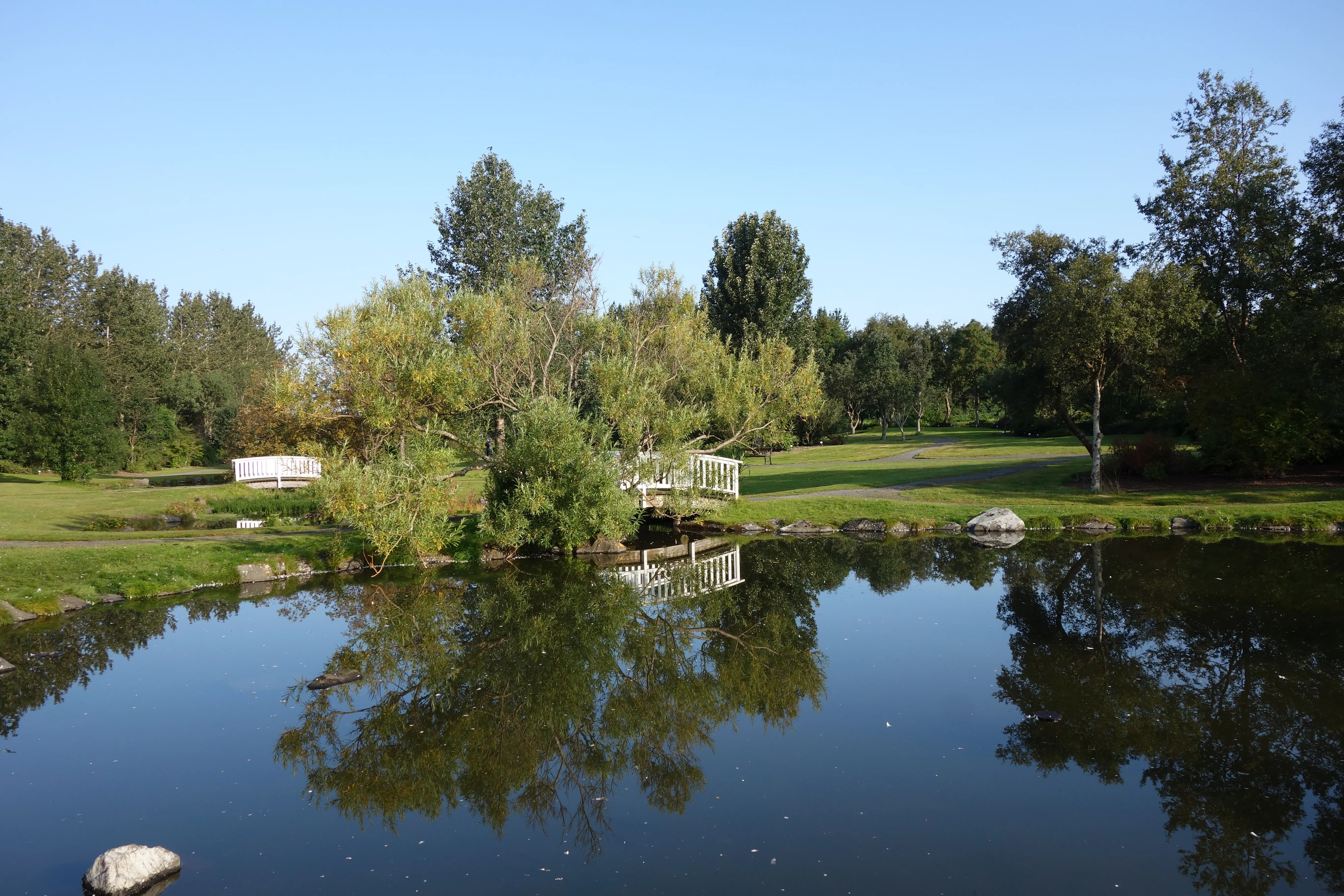 Een rustige vijver waarin bomen en een klein wit voetgangersbruggetje weerspiegelen in een groen park onder een helderblauwe lucht.