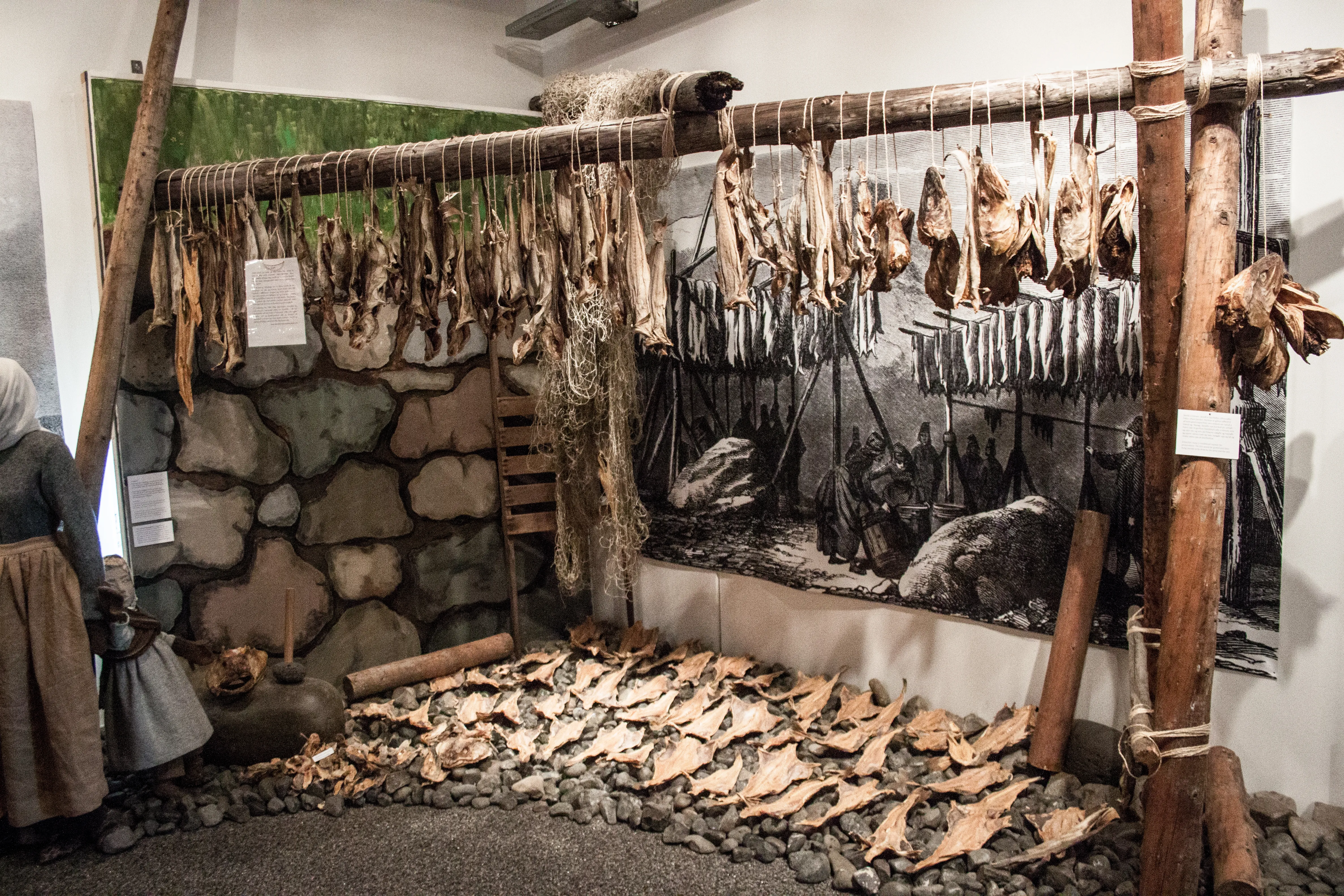 Museum exhibition display showing dried fish hanging from wooden racks and laid out on stones, with a large black-and-white photograph in the background.