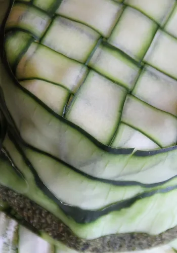 Primer plano de una sandía intrincadamente tallada en un patrón de cuadrícula con cáscara verde y secciones de pulpa pálida