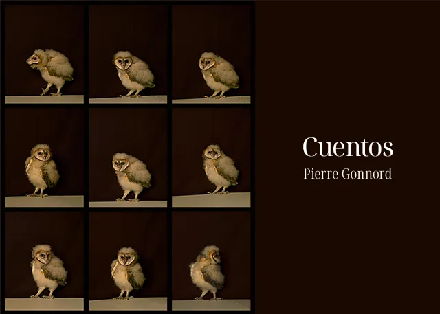 Cuadrícula de nueve fotografías que muestra a un polluelo de lechuza común en varias posturas sobre un fondo oscuro, con el texto 'Cuentos Pierre Gonnord' en el lado derecho