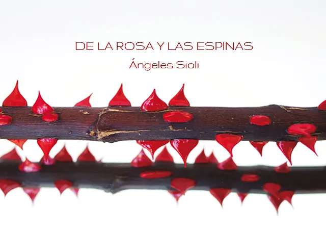 Una rama oscura con espinas de color rojo brillante y su reflejo en un fondo blanco, con el texto 'DE LA ROSA Y LAS ESPINAS' y 'Ángeles Sioli' superpuesto.