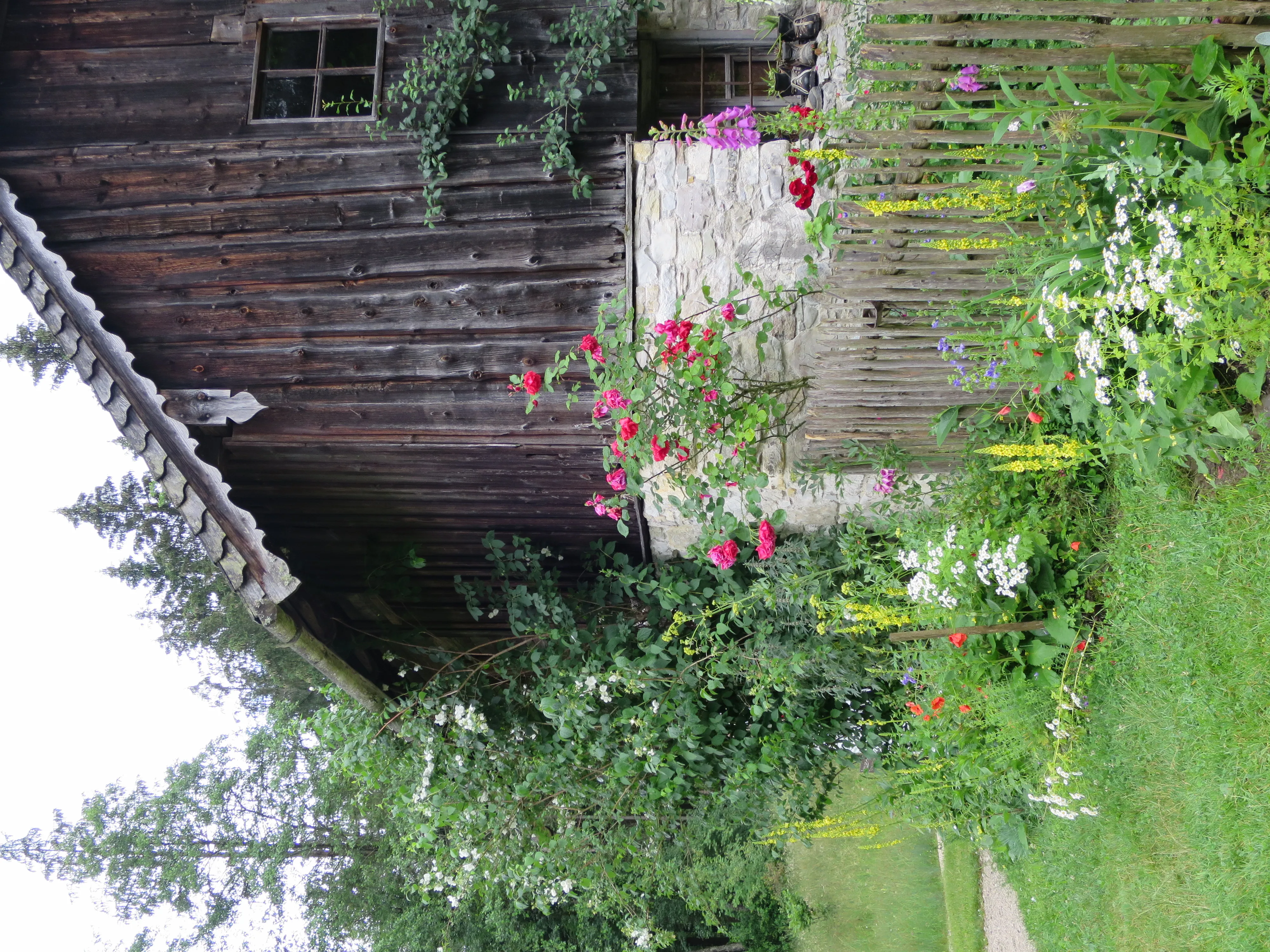 Rustieke, donkerhouten boerderijgevel met een kleurrijke bloementuin vol rode, roze, witte en gele bloemen langs een houten hek.