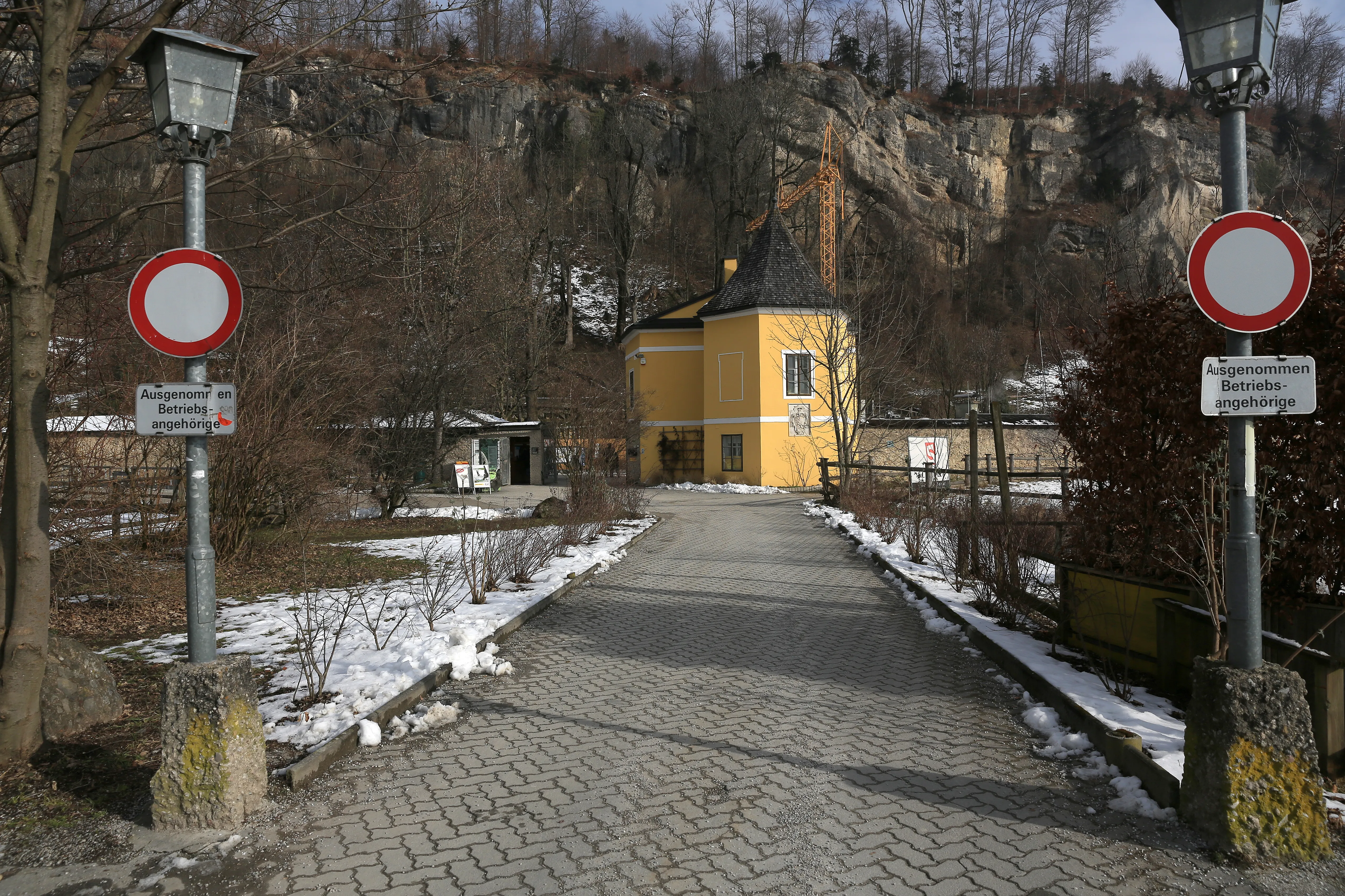 Un camino pavimentado conduce hacia un edificio amarillo en la entrada del Salzburg Zoo, flanqueado por señales de tráfico de prohibido el paso y árboles desnudos con nieve en el suelo, con una pared rocosa al fondo.