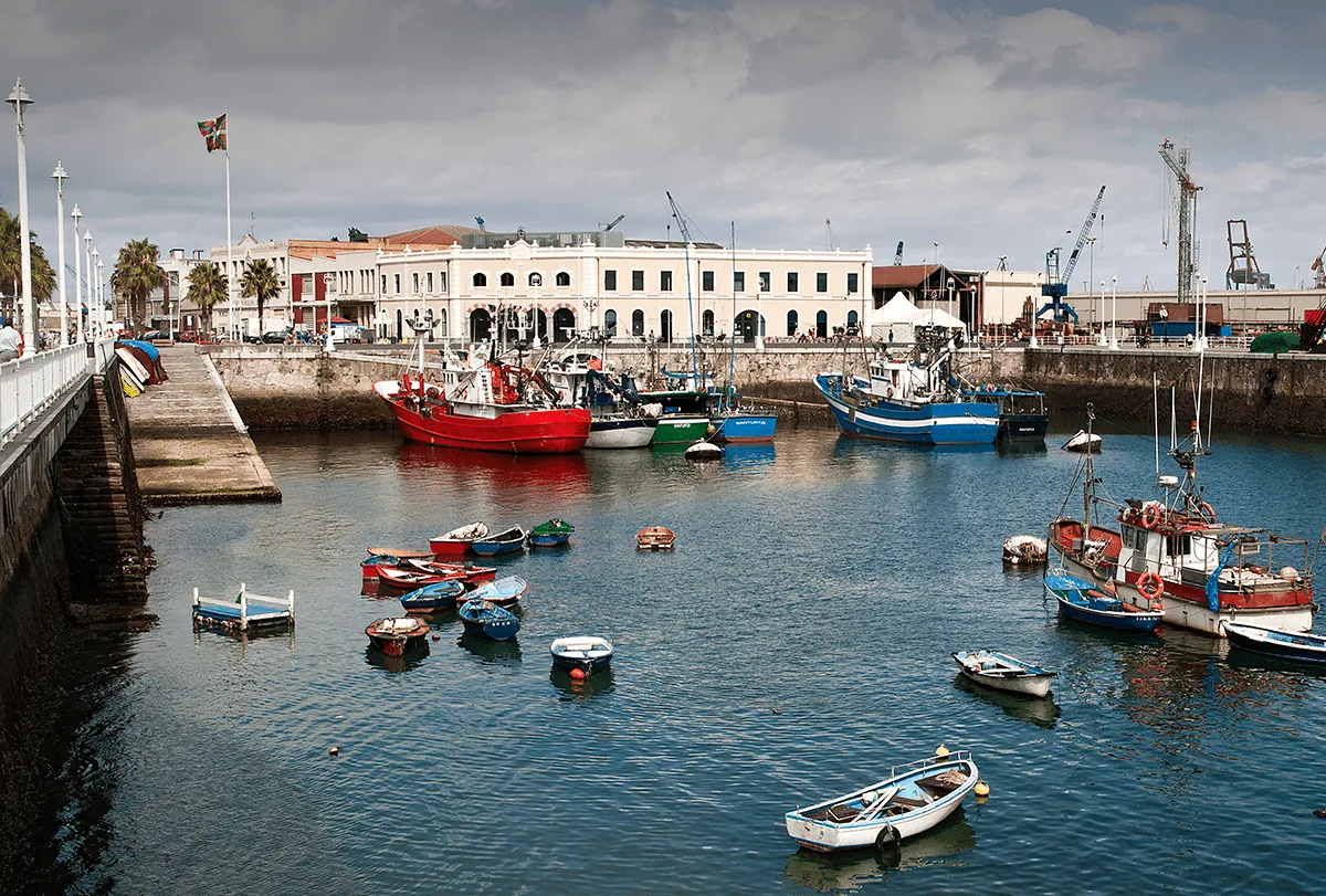 Harbor scene with colorful fishing boats and small dinghies moored in calm water, with a large white port building and industrial cranes in the background under an overcast sky.