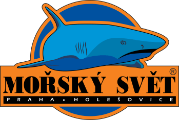 blue shark logo with text MORSKY SVET PRAHA HOLESOVICE