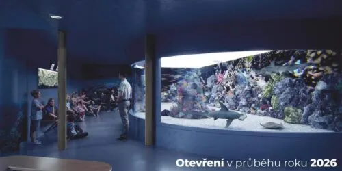 Interior of Sea World Prague with a large aquarium tank and visitors observing marine life through a curved glass tunnel
