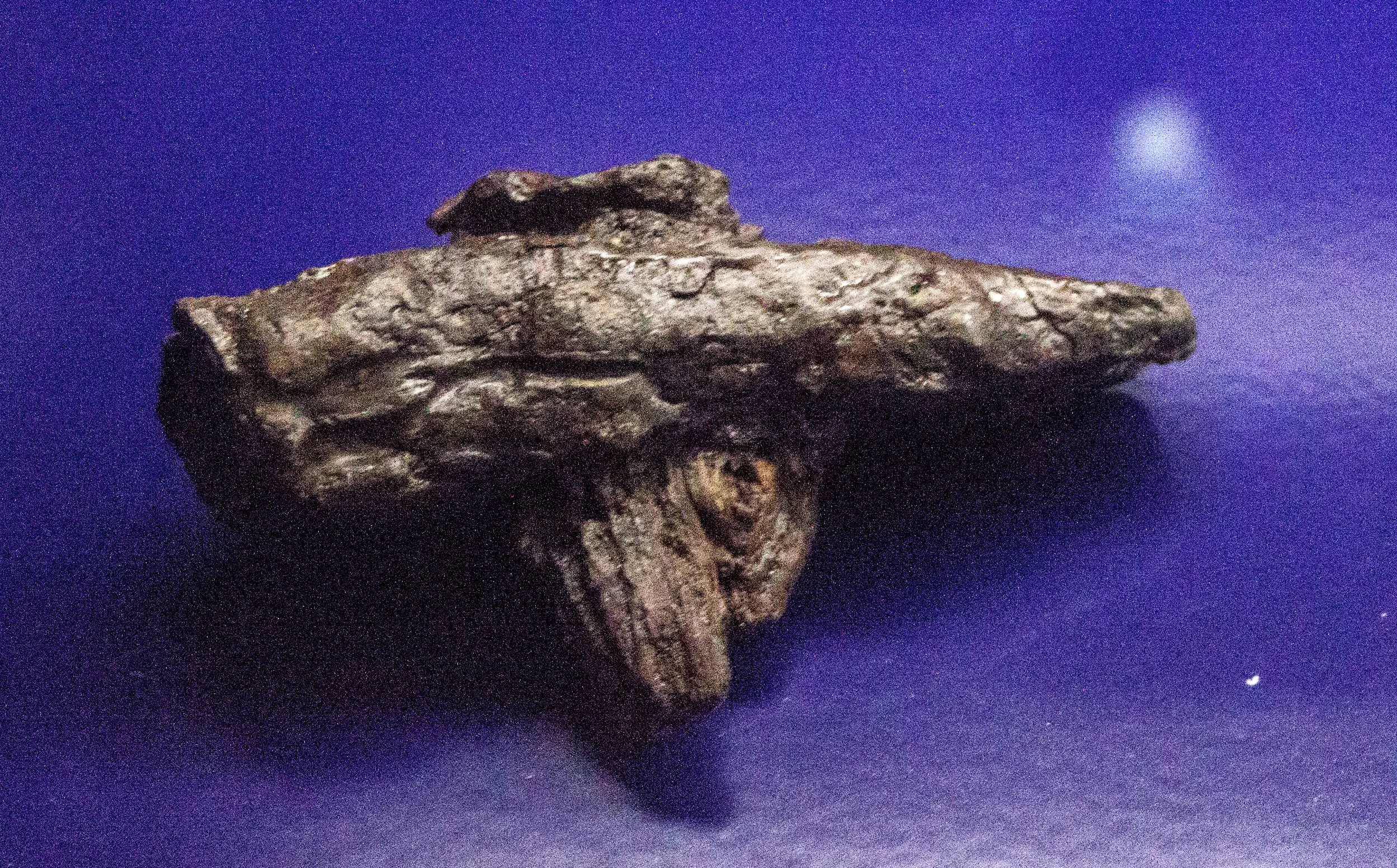 Skorodowany żelazny artefakt w kształcie młotka spoczywający na jednolitym niebieskim tle.