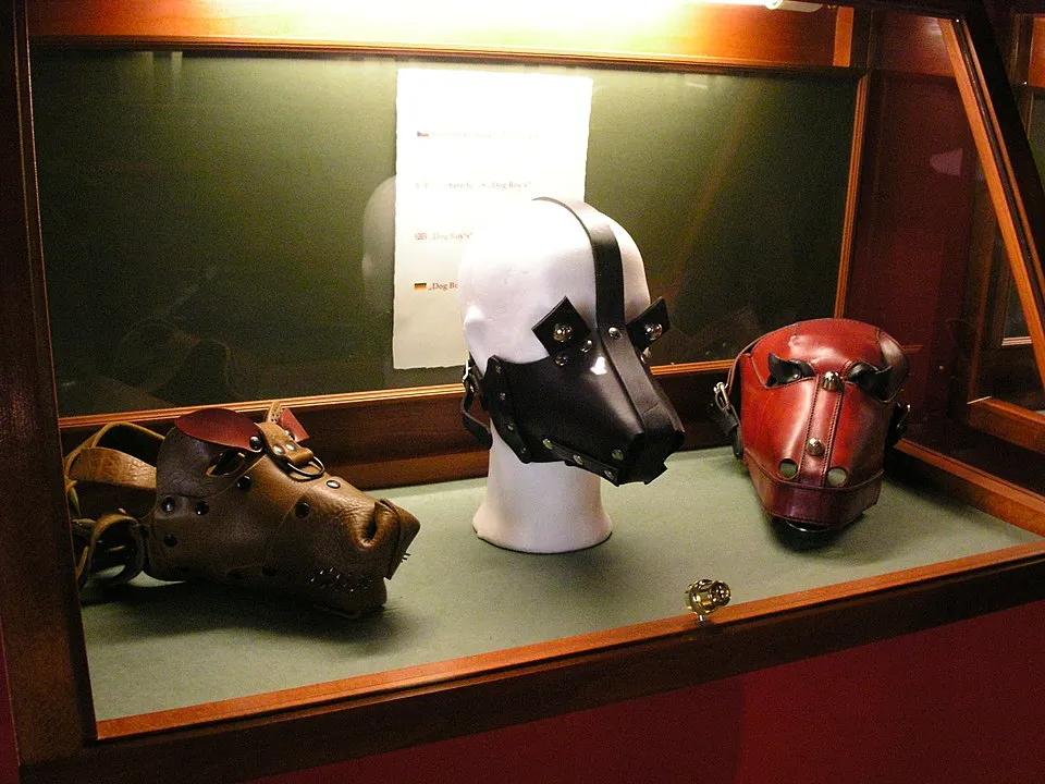 Drie leren artefacten in een glazen vitrine, waaronder een bruin, een zwart en een rood hoofddeksel, en een snuit.