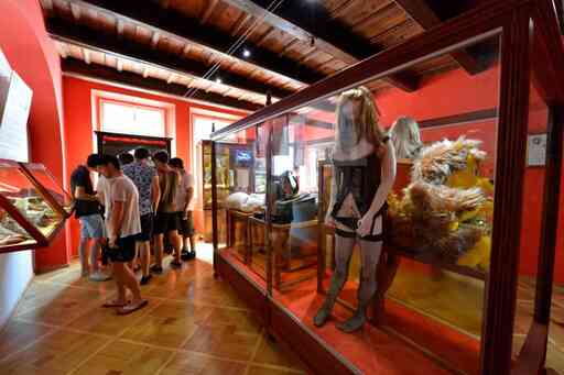 Bezoekers in een museumzaal bekijken glazen vitrines met paspoppen en mechanische objecten op een houten vloer.