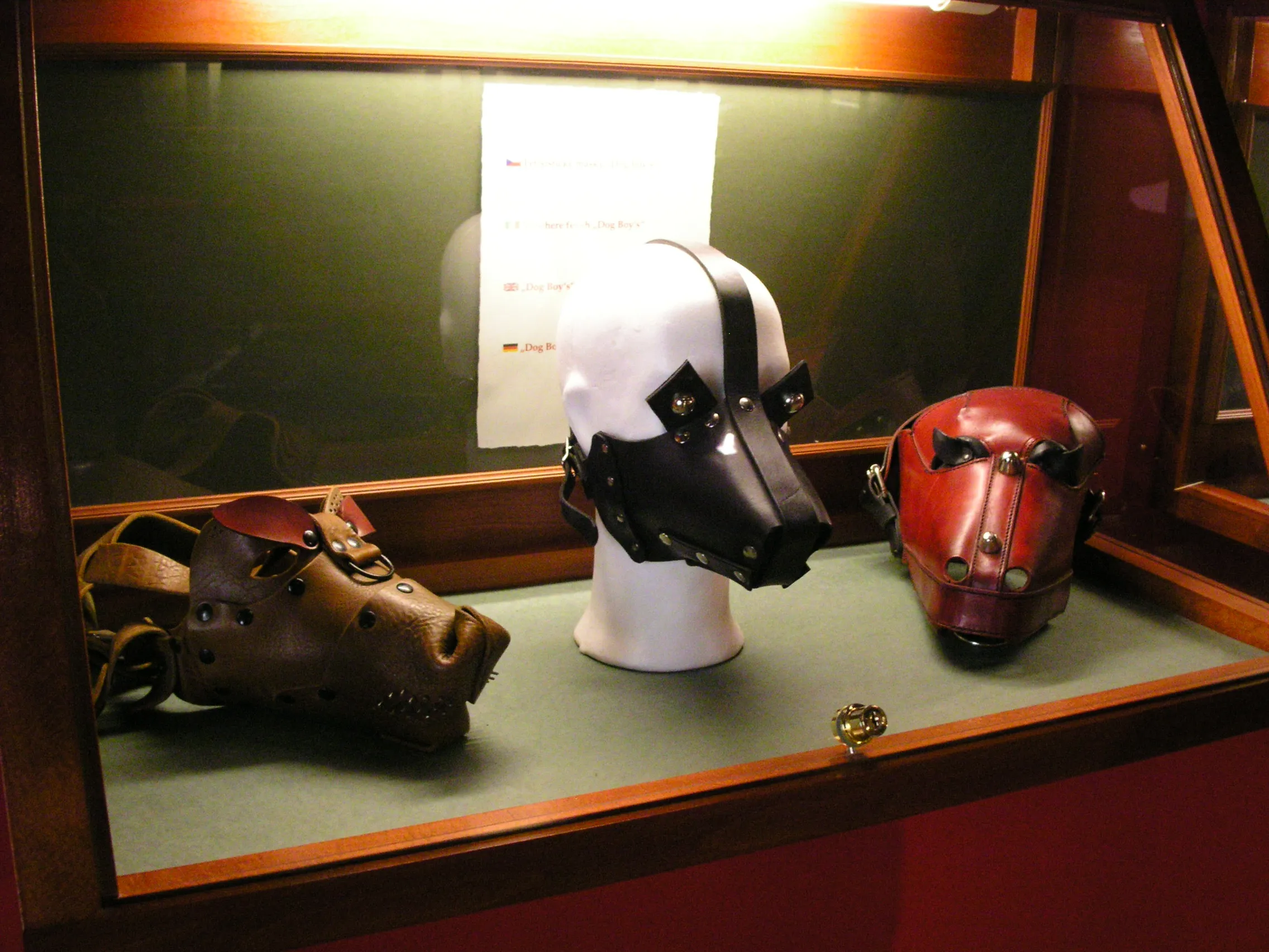 Drie fetisjmaskers tentoongesteld in een vitrine, waaronder een bruinlederen masker, een zwart-wit hondachtig masker en een rood masker