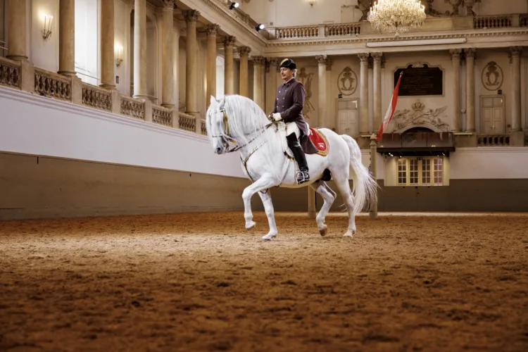 Gráfico de horarios de apertura del museo para Spanish Riding School